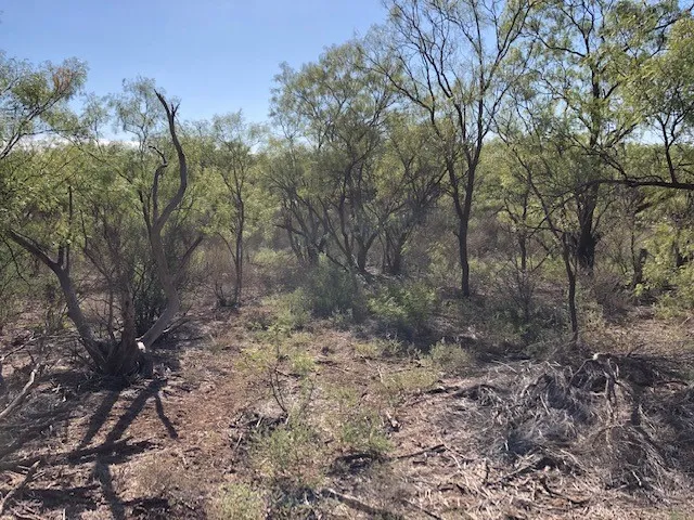 Ranch For Sale in Fisher County , 200 FM 1085, Roby, Texas 79543, 0, 0, Garage spaces, 0 Sqft, built in 0, mls#20709929, Real Estate Agent in Roby, Homes For Sale in Fisher county, Homes For Sale in Roby, Realtor in Roby Texas, Real Estate Brokerage Independent Realty Texas, Luminita Cordes Realtor