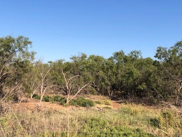 Ranch For Sale in Fisher County , 200 FM 1085, Roby, Texas 79543, 0, 0, Garage spaces, 0 Sqft, built in 0, mls#20709929, Real Estate Agent in Roby, Homes For Sale in Fisher county, Homes For Sale in Roby, Realtor in Roby Texas, Real Estate Brokerage Independent Realty Texas, Luminita Cordes Realtor