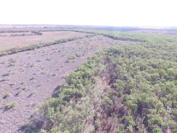 Ranch For Sale in Fisher County , 200 FM 1085, Roby, Texas 79543, 0, 0, Garage spaces, 0 Sqft, built in 0, mls#20709929, Real Estate Agent in Roby, Homes For Sale in Fisher county, Homes For Sale in Roby, Realtor in Roby Texas, Real Estate Brokerage Independent Realty Texas, Luminita Cordes Realtor