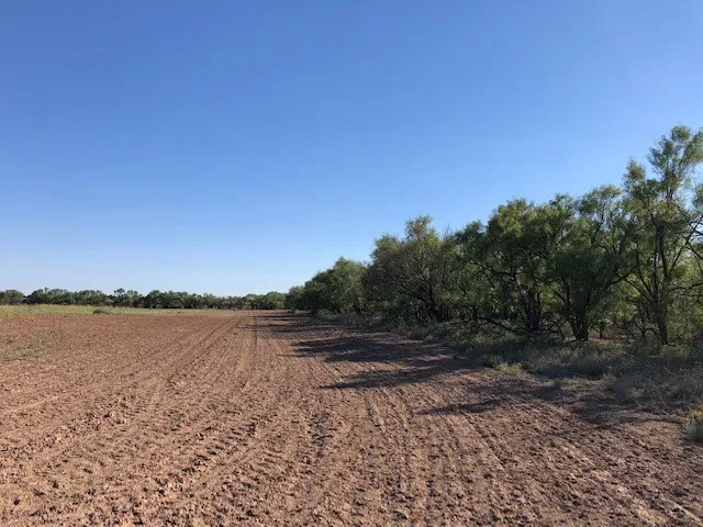Ranch For Sale in Fisher County , 200 FM 1085, Roby, Texas 79543, 0, 0, Garage spaces, 0 Sqft, built in 0, mls#20709929, Real Estate Agent in Roby, Homes For Sale in Fisher county, Homes For Sale in Roby, Realtor in Roby Texas, Real Estate Brokerage Independent Realty Texas, Luminita Cordes Realtor