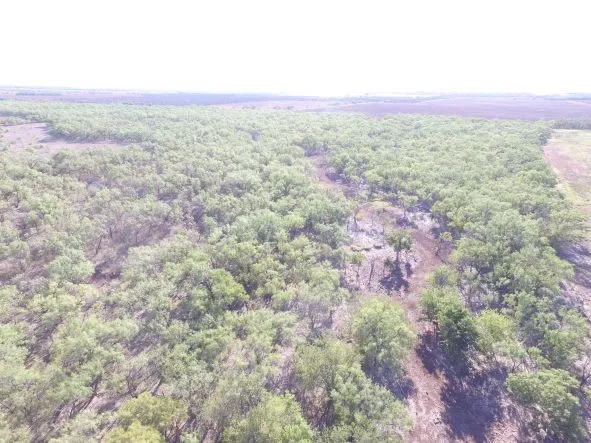 Ranch For Sale in Fisher County , 200 FM 1085, Roby, Texas 79543, 0, 0, Garage spaces, 0 Sqft, built in 0, mls#20709929, Real Estate Agent in Roby, Homes For Sale in Fisher county, Homes For Sale in Roby, Realtor in Roby Texas, Real Estate Brokerage Independent Realty Texas, Luminita Cordes Realtor