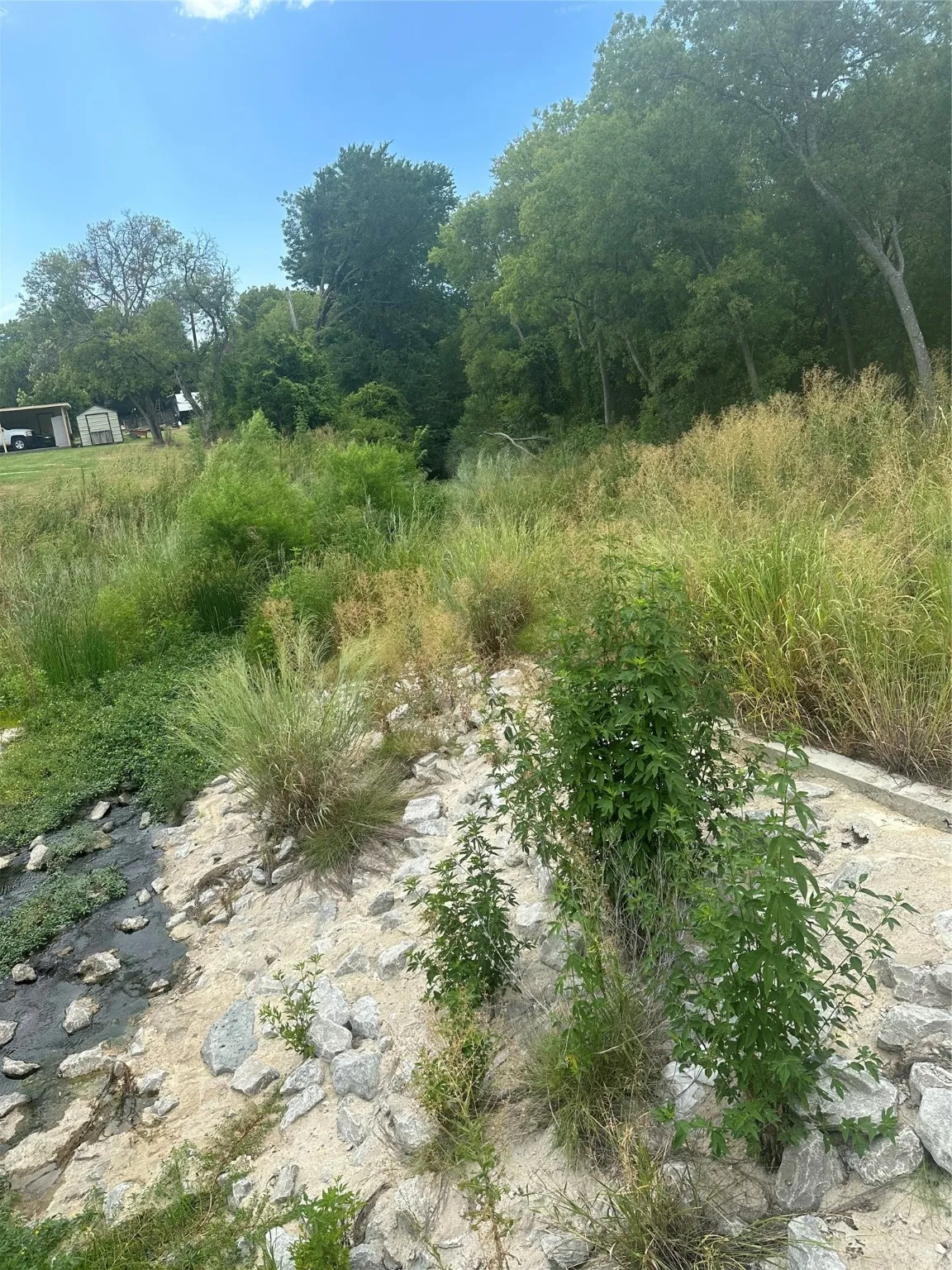 View of nature
