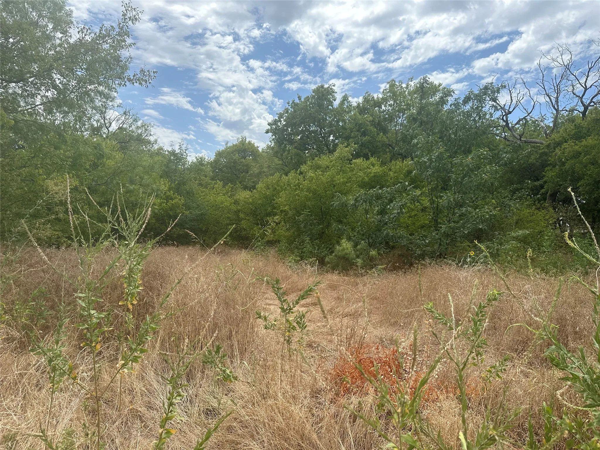 View of nature