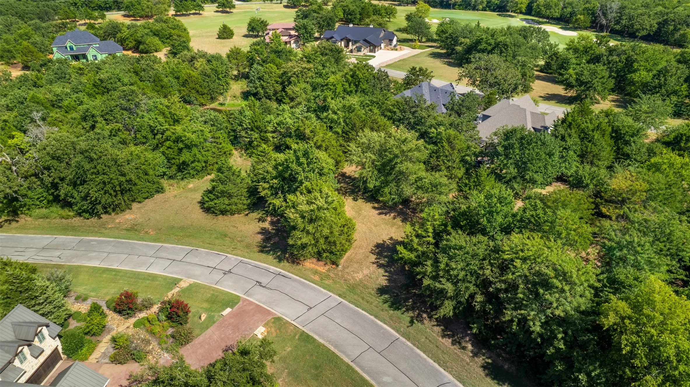 Aerial view of a tree filled landscape