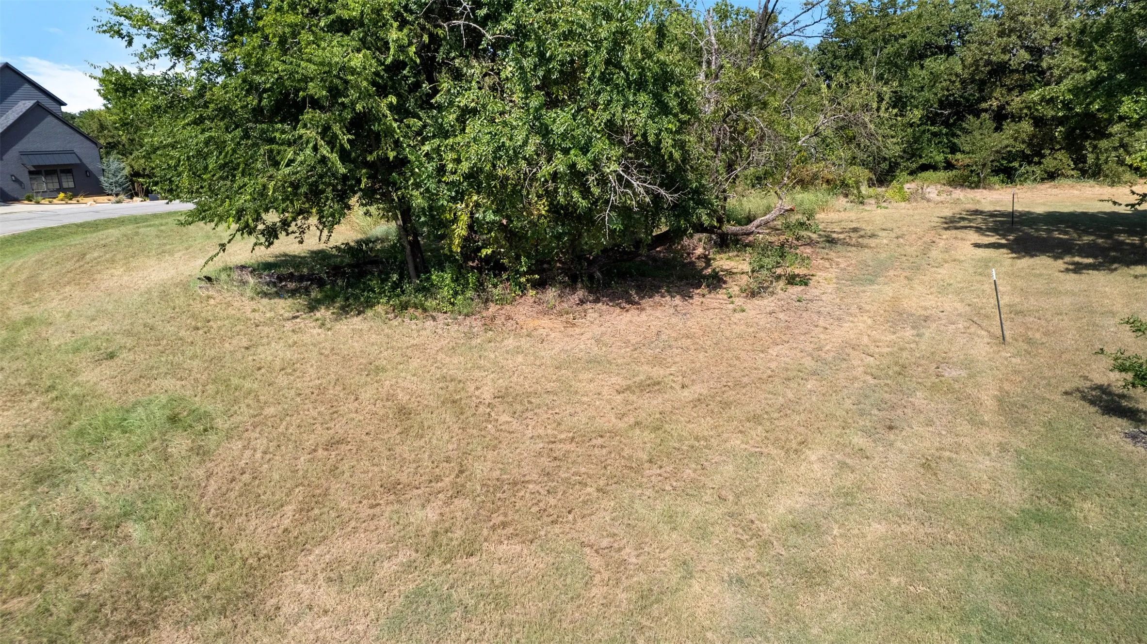 View of grassy yard