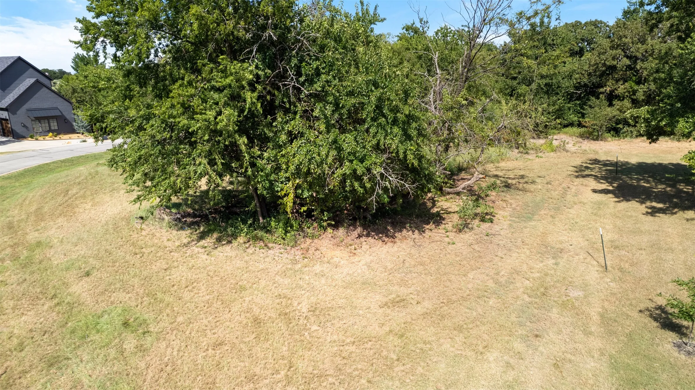 View of undeveloped land