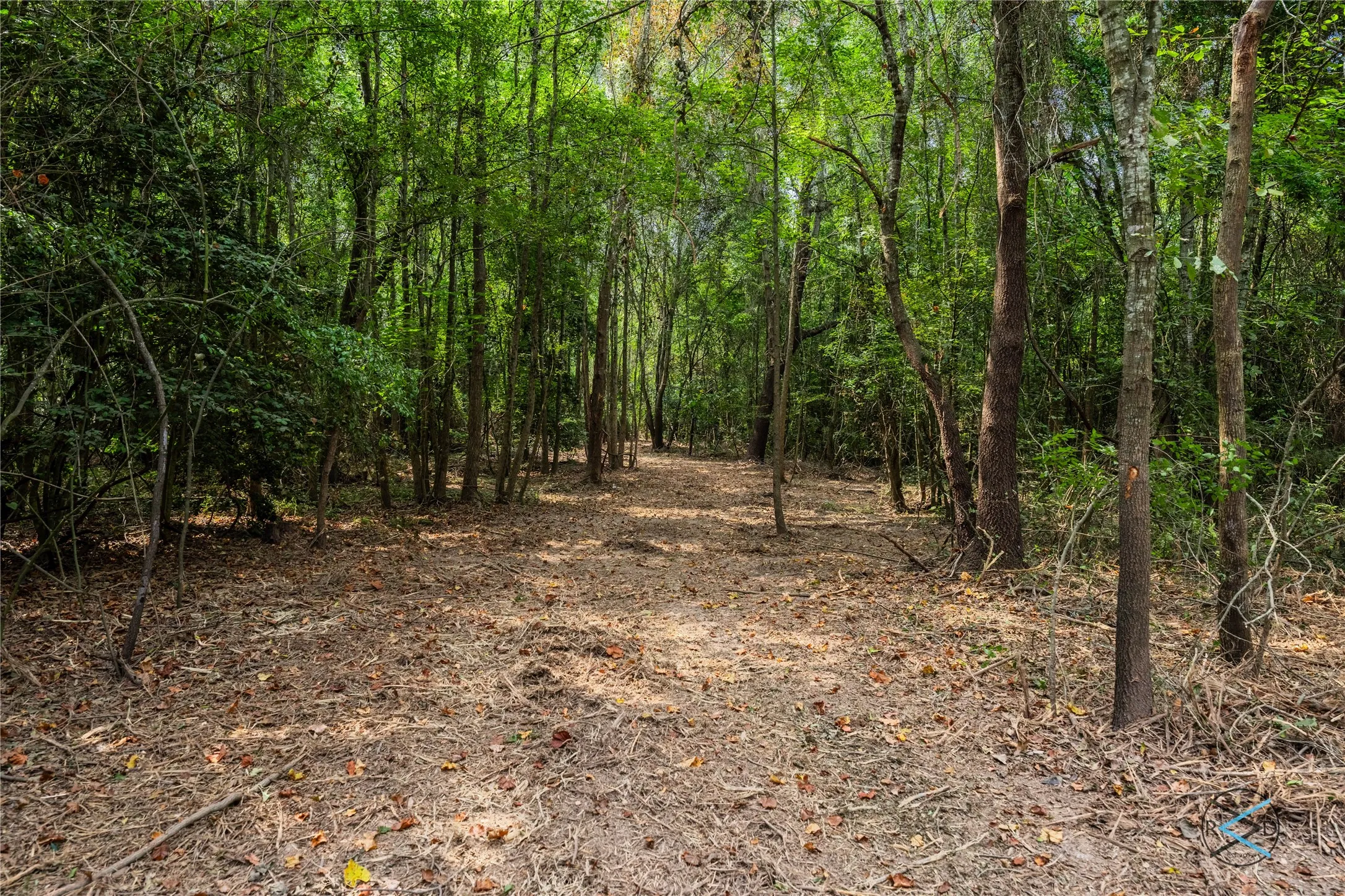 Unimproved Land For Sale in Henderson County , TBD CR 3606, Brownsboro, Texas 75756, 0, 0, Garage spaces, 0 Sqft, built in 0, Price $299,475, mls#20714159, Real Estate Agent in Brownsboro, Homes For Sale in Henderson county, Homes For Sale in Brownsboro, Realtor in Brownsboro Texas, Real Estate Brokerage Independent Realty Texas, Luminita Cordes Realtor