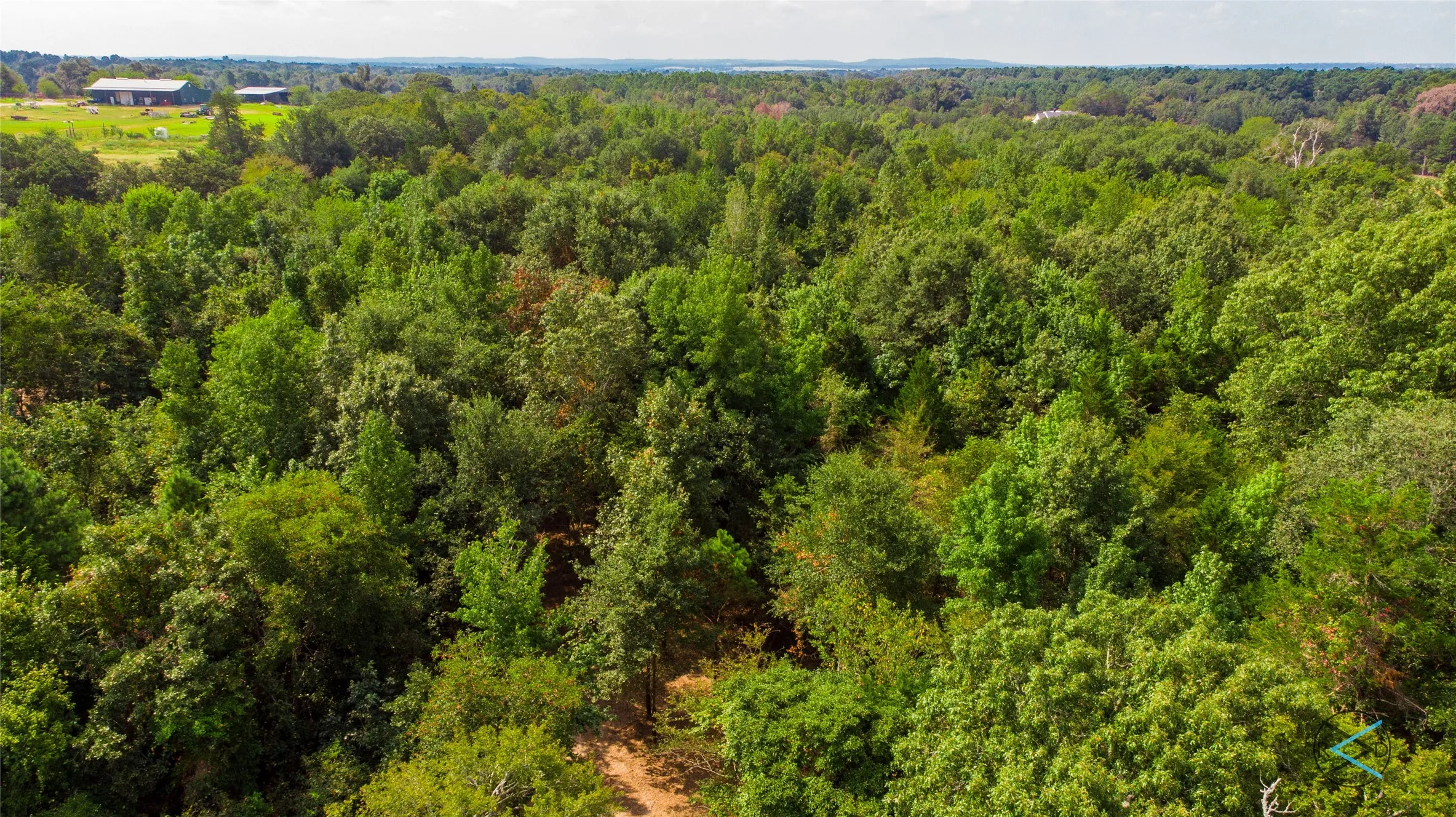 Unimproved Land For Sale in Henderson County , TBD CR 3606, Brownsboro, Texas 75756, 0, 0, Garage spaces, 0 Sqft, built in 0, Price $299,475, mls#20714159, Real Estate Agent in Brownsboro, Homes For Sale in Henderson county, Homes For Sale in Brownsboro, Realtor in Brownsboro Texas, Real Estate Brokerage Independent Realty Texas, Luminita Cordes Realtor