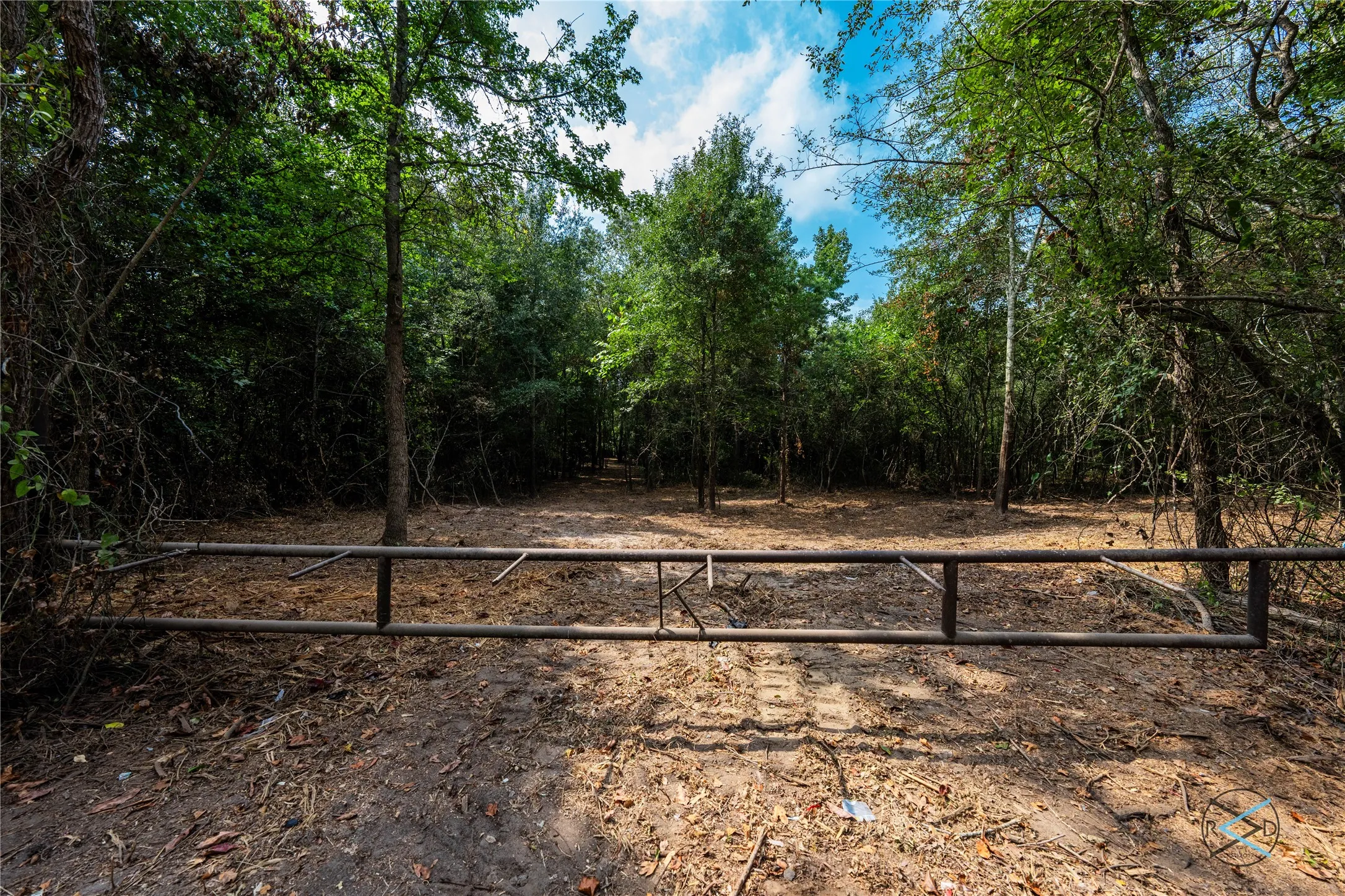 Unimproved Land For Sale in Henderson County , TBD CR 3606, Brownsboro, Texas 75756, 0, 0, Garage spaces, 0 Sqft, built in 0, Price $299,475, mls#20714159, Real Estate Agent in Brownsboro, Homes For Sale in Henderson county, Homes For Sale in Brownsboro, Realtor in Brownsboro Texas, Real Estate Brokerage Independent Realty Texas, Luminita Cordes Realtor