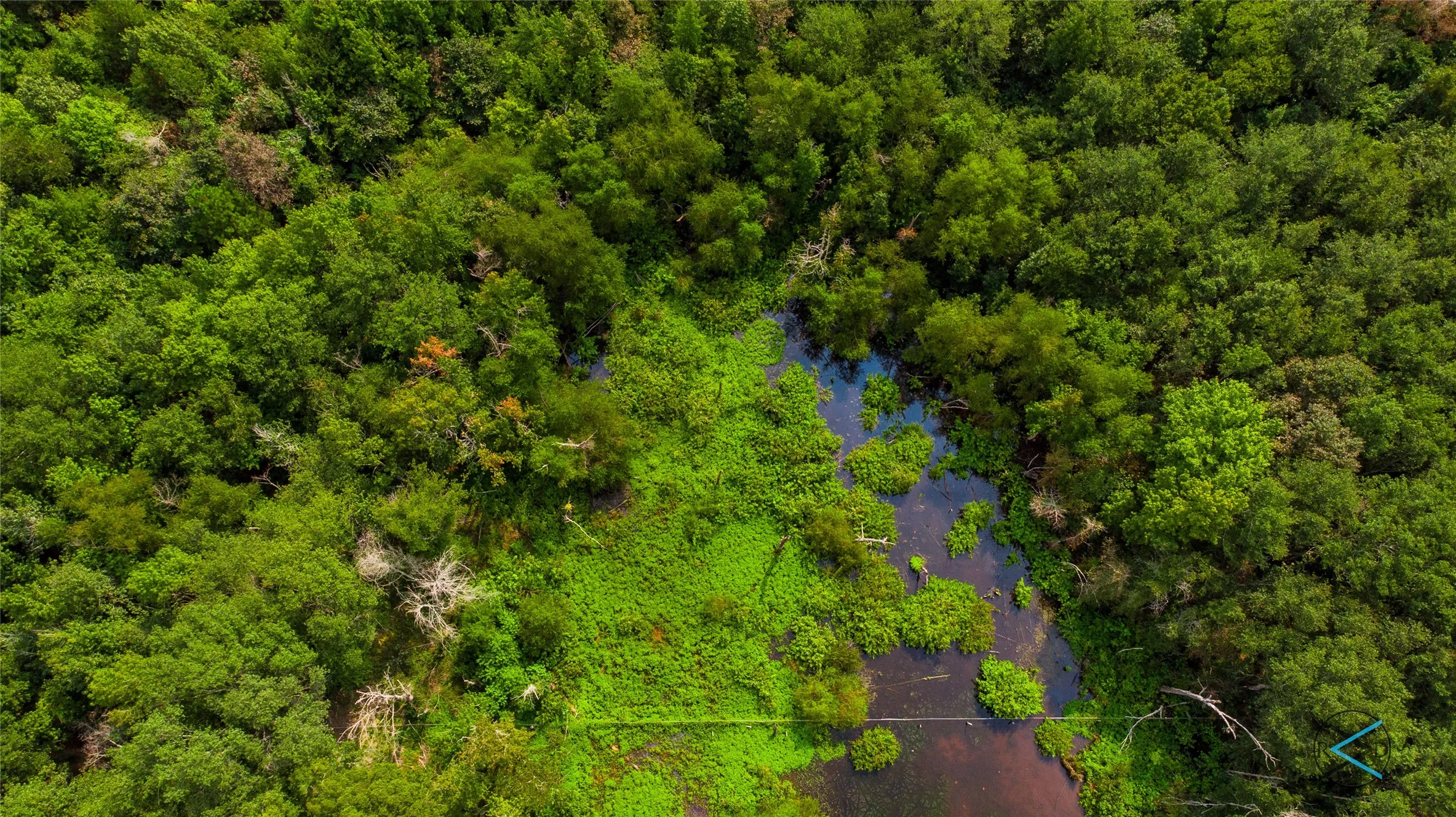 Unimproved Land For Sale in Henderson County , TBD CR 3606, Brownsboro, Texas 75756, 0, 0, Garage spaces, 0 Sqft, built in 0, Price $299,475, mls#20714159, Real Estate Agent in Brownsboro, Homes For Sale in Henderson county, Homes For Sale in Brownsboro, Realtor in Brownsboro Texas, Real Estate Brokerage Independent Realty Texas, Luminita Cordes Realtor