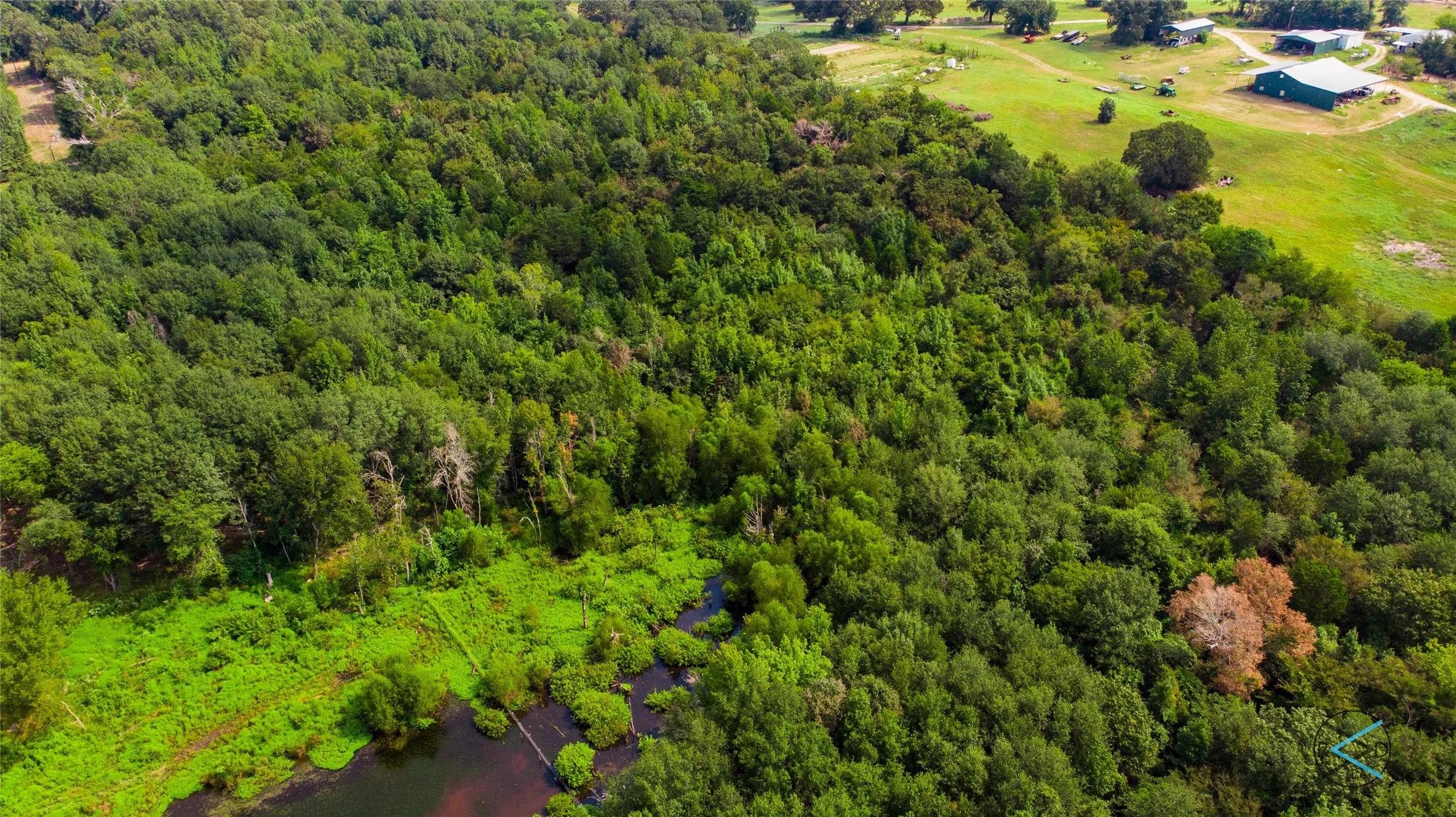 Unimproved Land For Sale in Henderson County , TBD CR 3606, Brownsboro, Texas 75756, 0, 0, Garage spaces, 0 Sqft, built in 0, Price $299,475, mls#20714159, Real Estate Agent in Brownsboro, Homes For Sale in Henderson county, Homes For Sale in Brownsboro, Realtor in Brownsboro Texas, Real Estate Brokerage Independent Realty Texas, Luminita Cordes Realtor