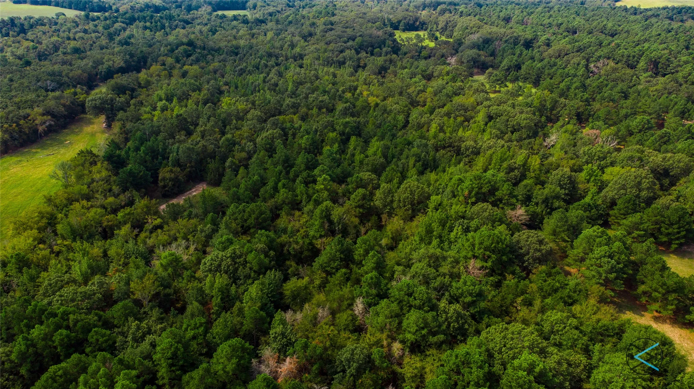 Unimproved Land For Sale in Henderson County , TBD CR 3606, Brownsboro, Texas 75756, 0, 0, Garage spaces, 0 Sqft, built in 0, Price $299,475, mls#20714159, Real Estate Agent in Brownsboro, Homes For Sale in Henderson county, Homes For Sale in Brownsboro, Realtor in Brownsboro Texas, Real Estate Brokerage Independent Realty Texas, Luminita Cordes Realtor