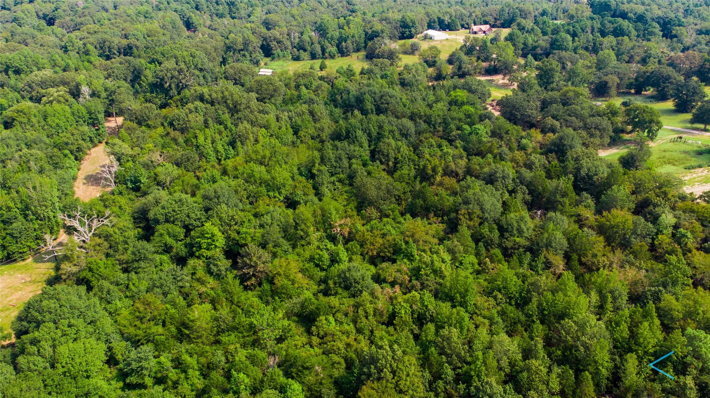 Unimproved Land For Sale in Henderson County , TBD CR 3606, Brownsboro, Texas 75756, 0, 0, Garage spaces, 0 Sqft, built in 0, Price $299,475, mls#20714159, Real Estate Agent in Brownsboro, Homes For Sale in Henderson county, Homes For Sale in Brownsboro, Realtor in Brownsboro Texas, Real Estate Brokerage Independent Realty Texas, Luminita Cordes Realtor