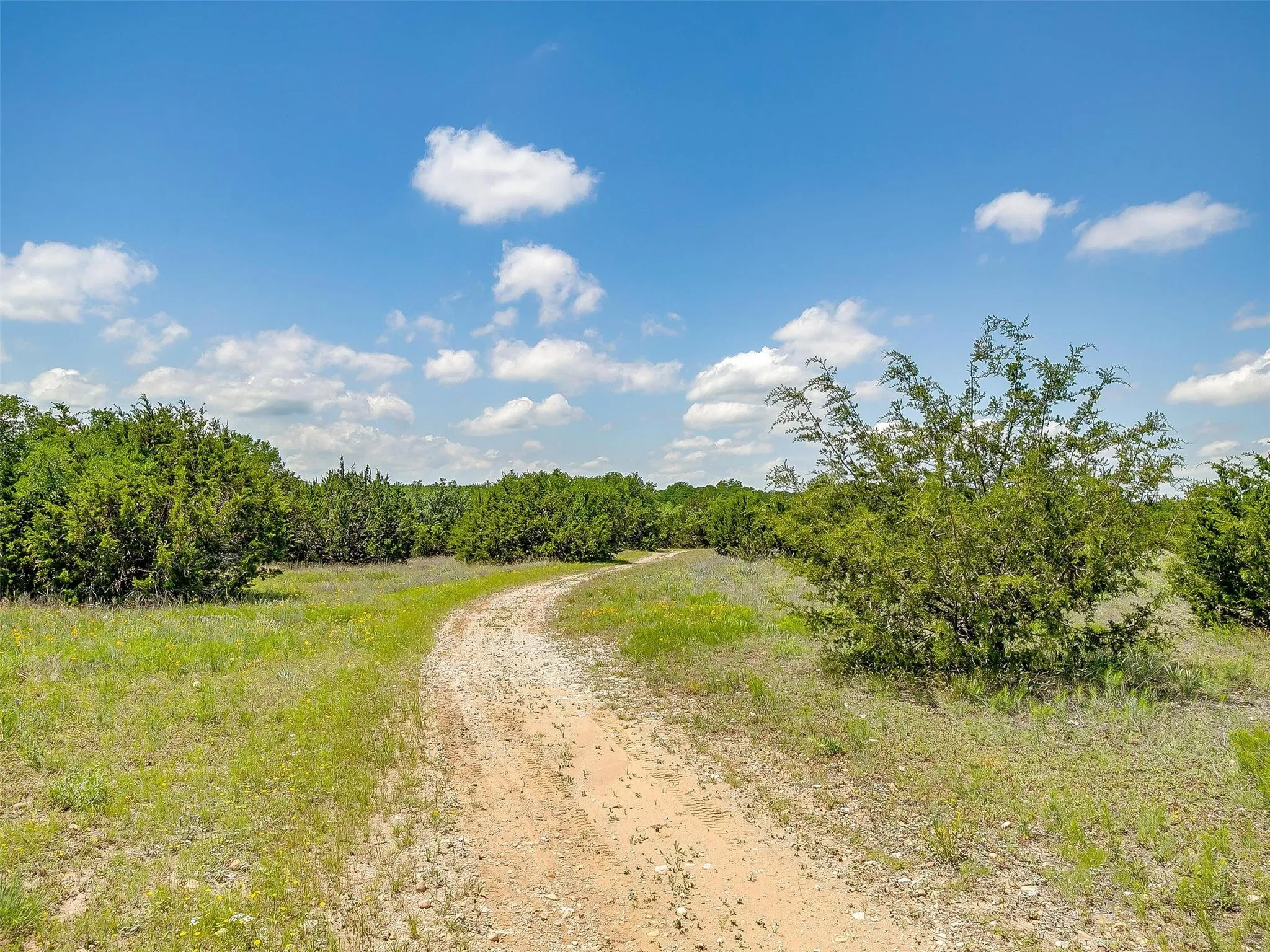 Ranch For Sale in Johnson County , 10849 County Road 1117, Cleburne, Texas 76033, 0, 0, Garage spaces, 0 Sqft, built in 0, mls#20719247, Real Estate Agent in Cleburne, Homes For Sale in Johnson county, Homes For Sale in Cleburne, Realtor in Cleburne Texas, Real Estate Brokerage Independent Realty Texas, Luminita Cordes Realtor