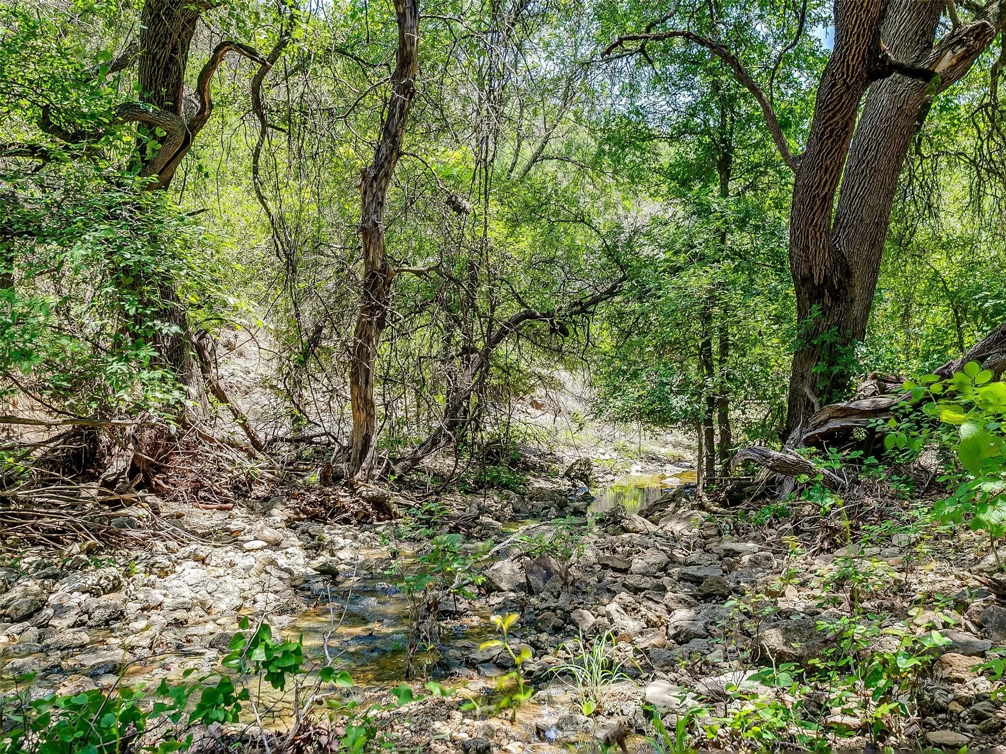 Ranch For Sale in Johnson County , 10849 County Road 1117, Cleburne, Texas 76033, 0, 0, Garage spaces, 0 Sqft, built in 0, mls#20719247, Real Estate Agent in Cleburne, Homes For Sale in Johnson county, Homes For Sale in Cleburne, Realtor in Cleburne Texas, Real Estate Brokerage Independent Realty Texas, Luminita Cordes Realtor