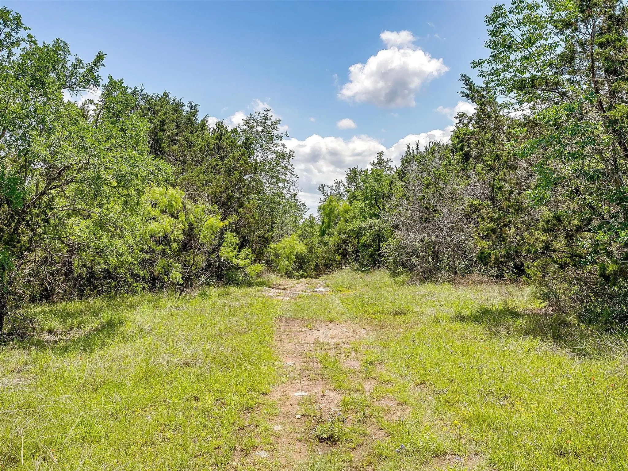 Ranch For Sale in Johnson County , 10849 County Road 1117, Cleburne, Texas 76033, 0, 0, Garage spaces, 0 Sqft, built in 0, mls#20719247, Real Estate Agent in Cleburne, Homes For Sale in Johnson county, Homes For Sale in Cleburne, Realtor in Cleburne Texas, Real Estate Brokerage Independent Realty Texas, Luminita Cordes Realtor