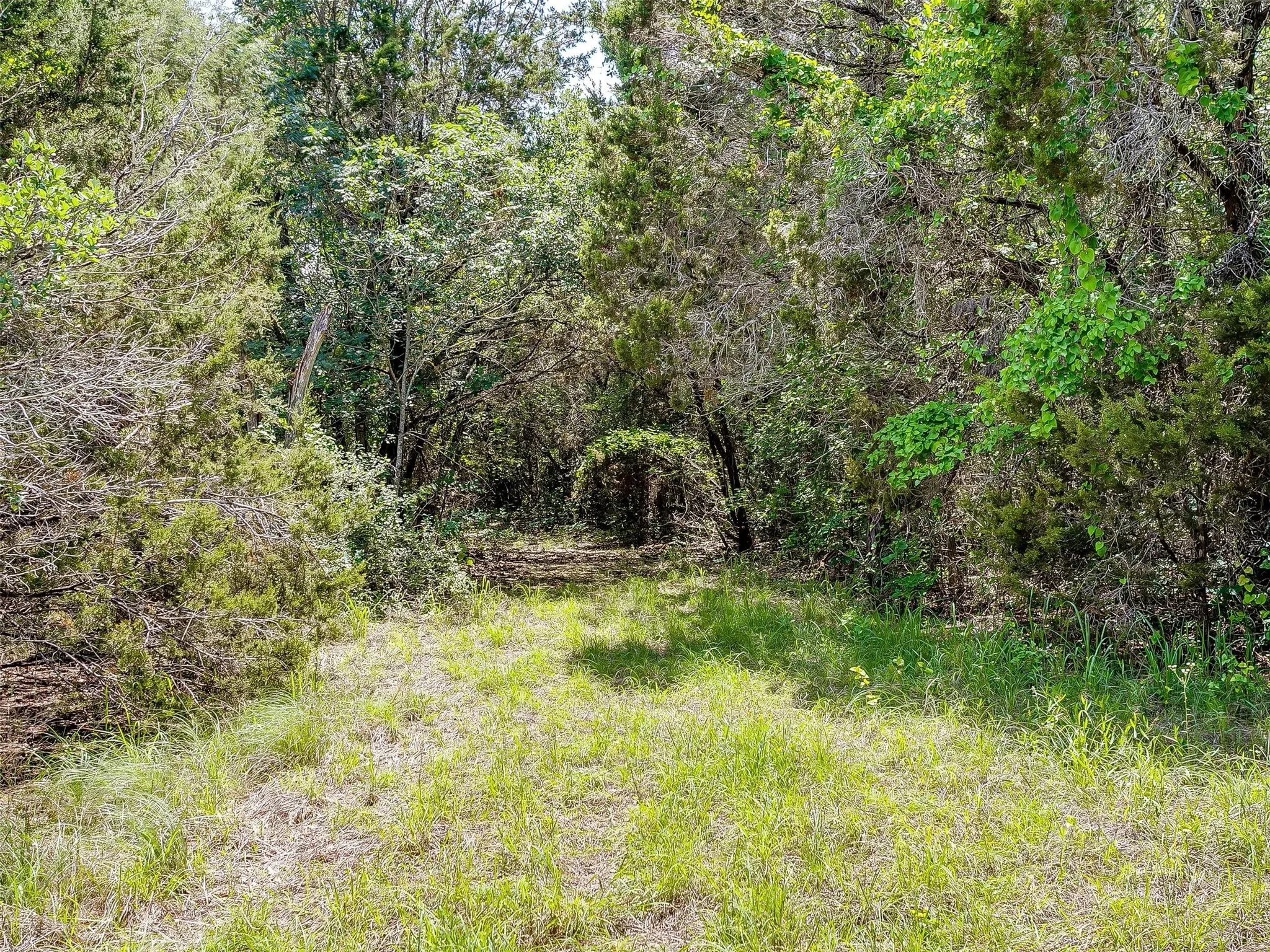 Ranch For Sale in Johnson County , 10849 County Road 1117, Cleburne, Texas 76033, 0, 0, Garage spaces, 0 Sqft, built in 0, mls#20719247, Real Estate Agent in Cleburne, Homes For Sale in Johnson county, Homes For Sale in Cleburne, Realtor in Cleburne Texas, Real Estate Brokerage Independent Realty Texas, Luminita Cordes Realtor