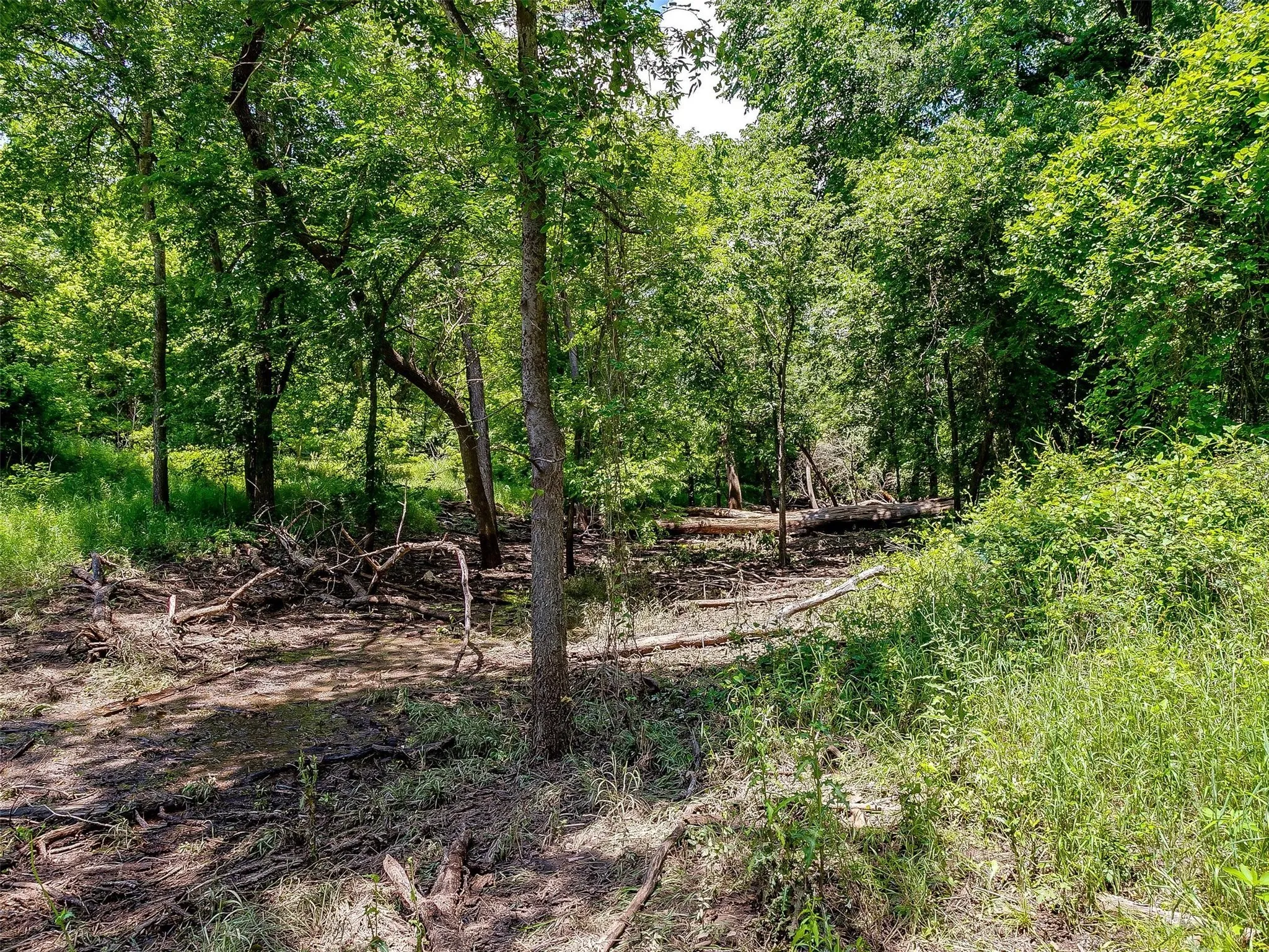 Ranch For Sale in Johnson County , 10849 County Road 1117, Cleburne, Texas 76033, 0, 0, Garage spaces, 0 Sqft, built in 0, mls#20719247, Real Estate Agent in Cleburne, Homes For Sale in Johnson county, Homes For Sale in Cleburne, Realtor in Cleburne Texas, Real Estate Brokerage Independent Realty Texas, Luminita Cordes Realtor
