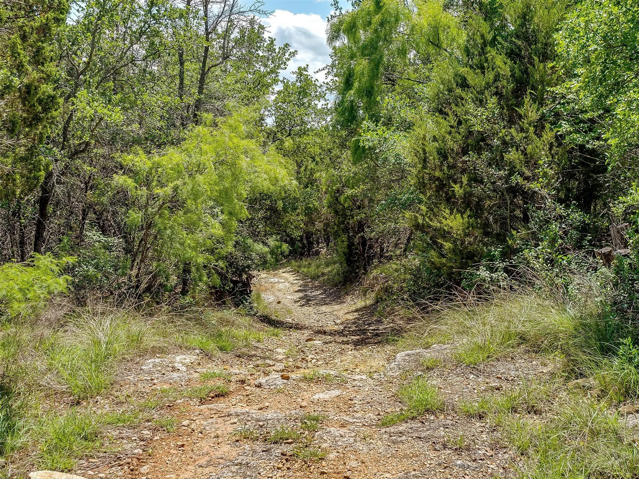 Ranch For Sale in Johnson County , 10849 County Road 1117, Cleburne, Texas 76033, 0, 0, Garage spaces, 0 Sqft, built in 0, mls#20719247, Real Estate Agent in Cleburne, Homes For Sale in Johnson county, Homes For Sale in Cleburne, Realtor in Cleburne Texas, Real Estate Brokerage Independent Realty Texas, Luminita Cordes Realtor