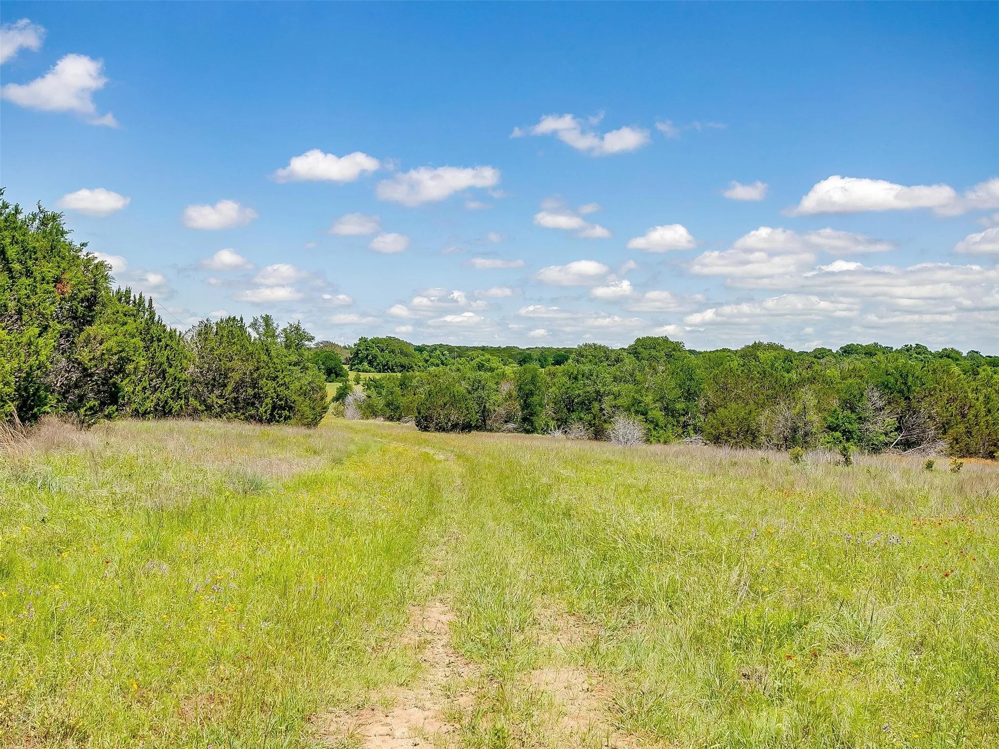 Ranch For Sale in Johnson County , 10849 County Road 1117, Cleburne, Texas 76033, 0, 0, Garage spaces, 0 Sqft, built in 0, mls#20719247, Real Estate Agent in Cleburne, Homes For Sale in Johnson county, Homes For Sale in Cleburne, Realtor in Cleburne Texas, Real Estate Brokerage Independent Realty Texas, Luminita Cordes Realtor