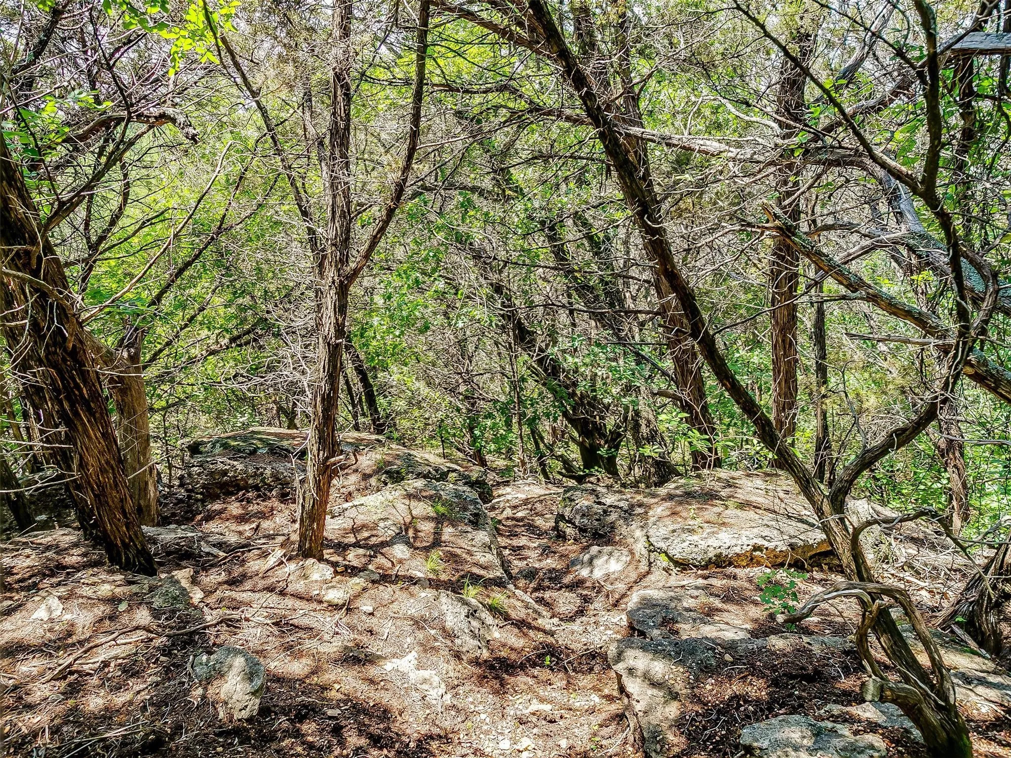Ranch For Sale in Johnson County , 10849 County Road 1117, Cleburne, Texas 76033, 0, 0, Garage spaces, 0 Sqft, built in 0, mls#20719247, Real Estate Agent in Cleburne, Homes For Sale in Johnson county, Homes For Sale in Cleburne, Realtor in Cleburne Texas, Real Estate Brokerage Independent Realty Texas, Luminita Cordes Realtor