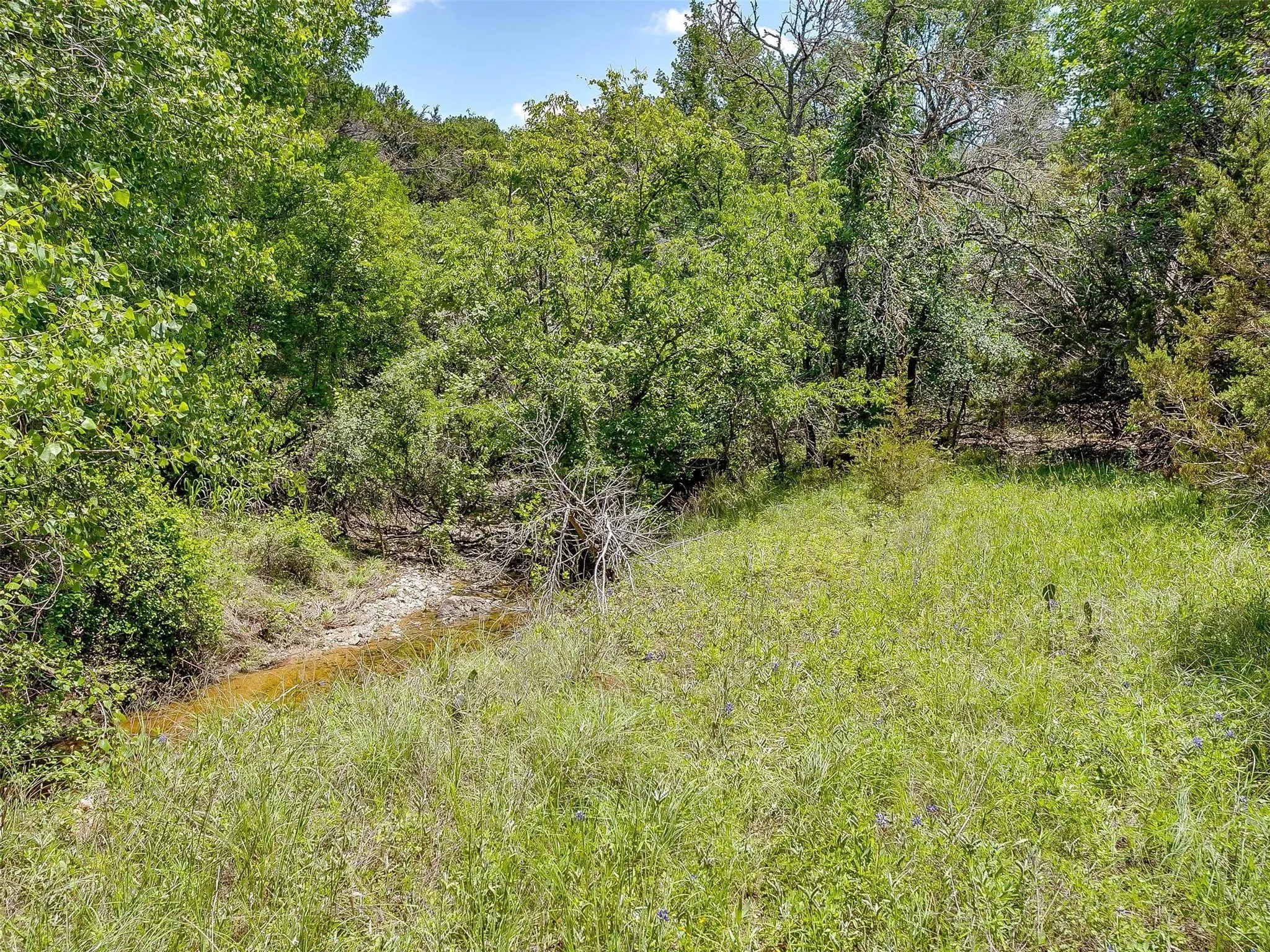 Ranch For Sale in Johnson County , 10849 County Road 1117, Cleburne, Texas 76033, 0, 0, Garage spaces, 0 Sqft, built in 0, mls#20719247, Real Estate Agent in Cleburne, Homes For Sale in Johnson county, Homes For Sale in Cleburne, Realtor in Cleburne Texas, Real Estate Brokerage Independent Realty Texas, Luminita Cordes Realtor