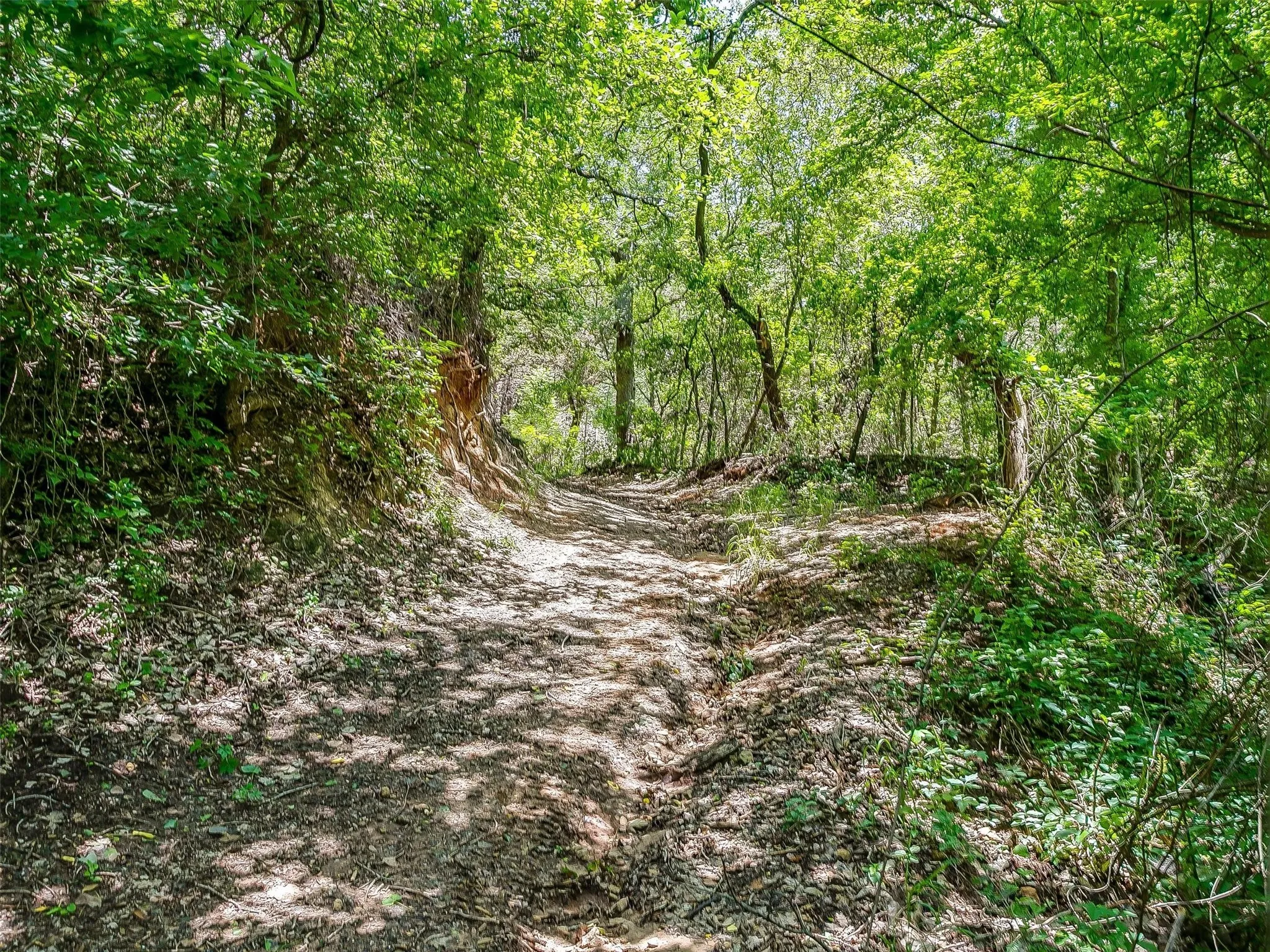 Ranch For Sale in Johnson County , 10849 County Road 1117, Cleburne, Texas 76033, 0, 0, Garage spaces, 0 Sqft, built in 0, mls#20719247, Real Estate Agent in Cleburne, Homes For Sale in Johnson county, Homes For Sale in Cleburne, Realtor in Cleburne Texas, Real Estate Brokerage Independent Realty Texas, Luminita Cordes Realtor