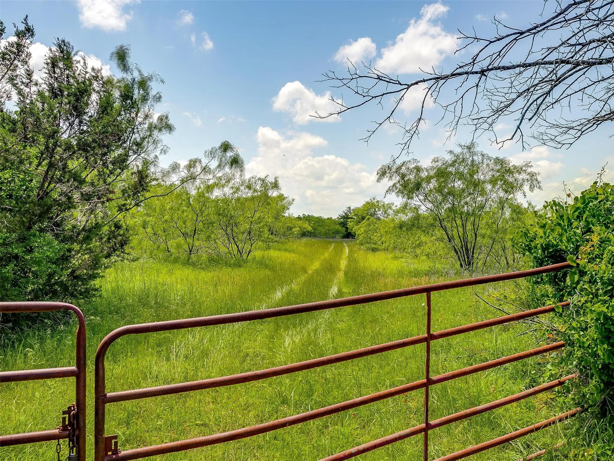Ranch For Sale in Johnson County , 10849 County Road 1117, Cleburne, Texas 76033, 0, 0, Garage spaces, 0 Sqft, built in 0, mls#20719247, Real Estate Agent in Cleburne, Homes For Sale in Johnson county, Homes For Sale in Cleburne, Realtor in Cleburne Texas, Real Estate Brokerage Independent Realty Texas, Luminita Cordes Realtor