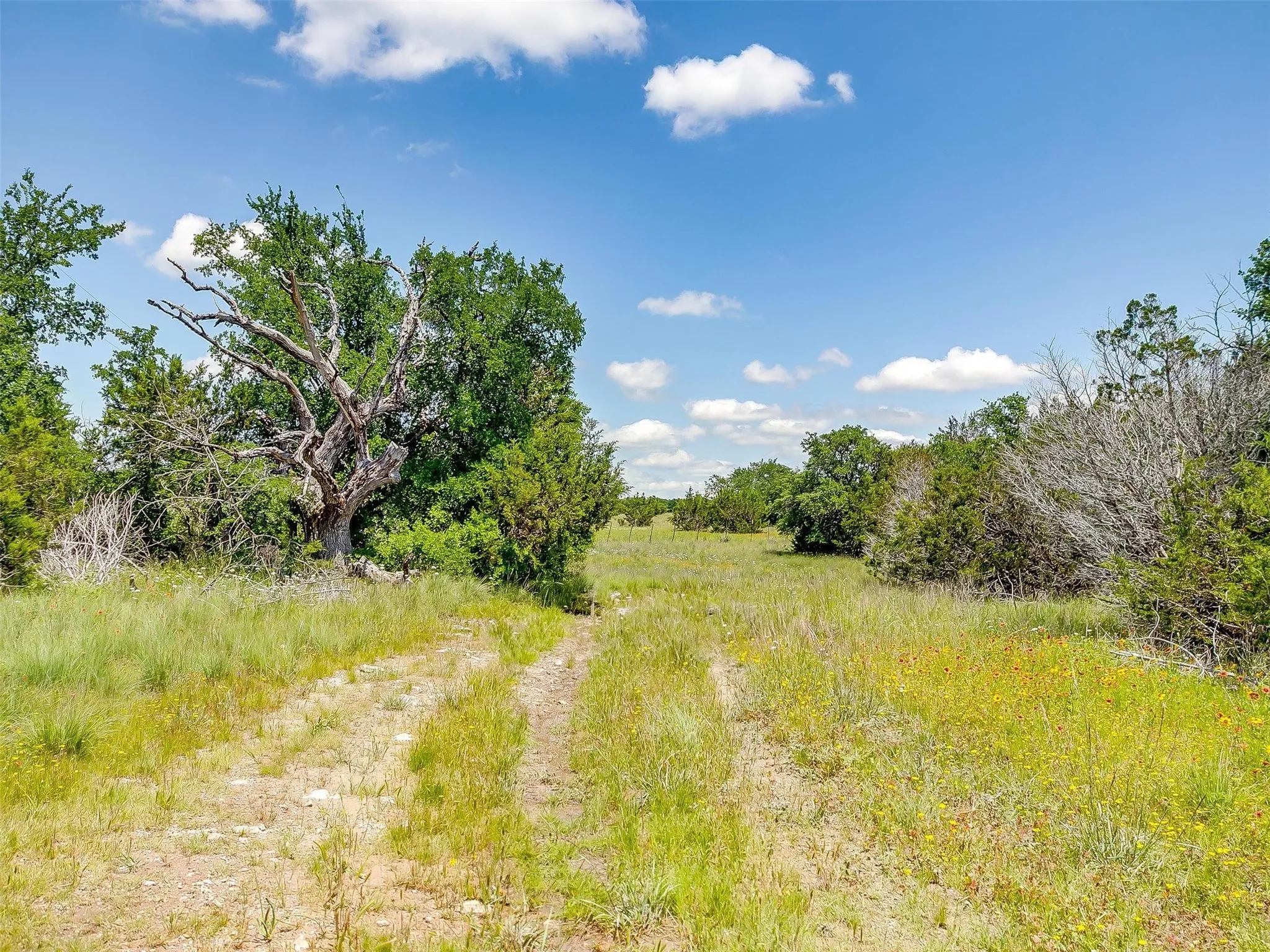 Ranch For Sale in Johnson County , 10849 County Road 1117, Cleburne, Texas 76033, 0, 0, Garage spaces, 0 Sqft, built in 0, mls#20719247, Real Estate Agent in Cleburne, Homes For Sale in Johnson county, Homes For Sale in Cleburne, Realtor in Cleburne Texas, Real Estate Brokerage Independent Realty Texas, Luminita Cordes Realtor
