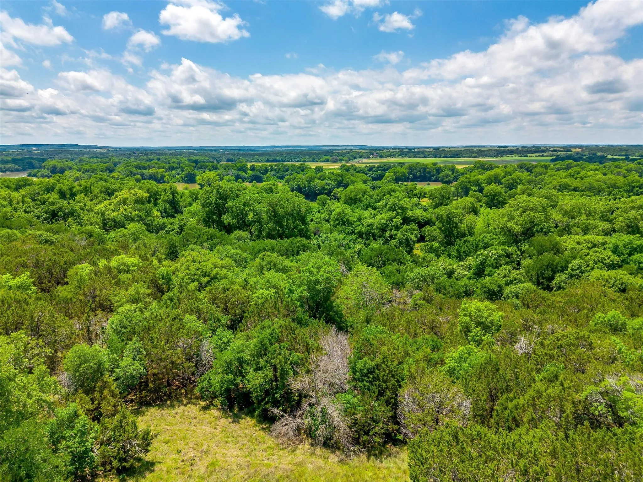 Ranch For Sale in Johnson County , 10849 County Road 1117, Cleburne, Texas 76033, 0, 0, Garage spaces, 0 Sqft, built in 0, mls#20719247, Real Estate Agent in Cleburne, Homes For Sale in Johnson county, Homes For Sale in Cleburne, Realtor in Cleburne Texas, Real Estate Brokerage Independent Realty Texas, Luminita Cordes Realtor