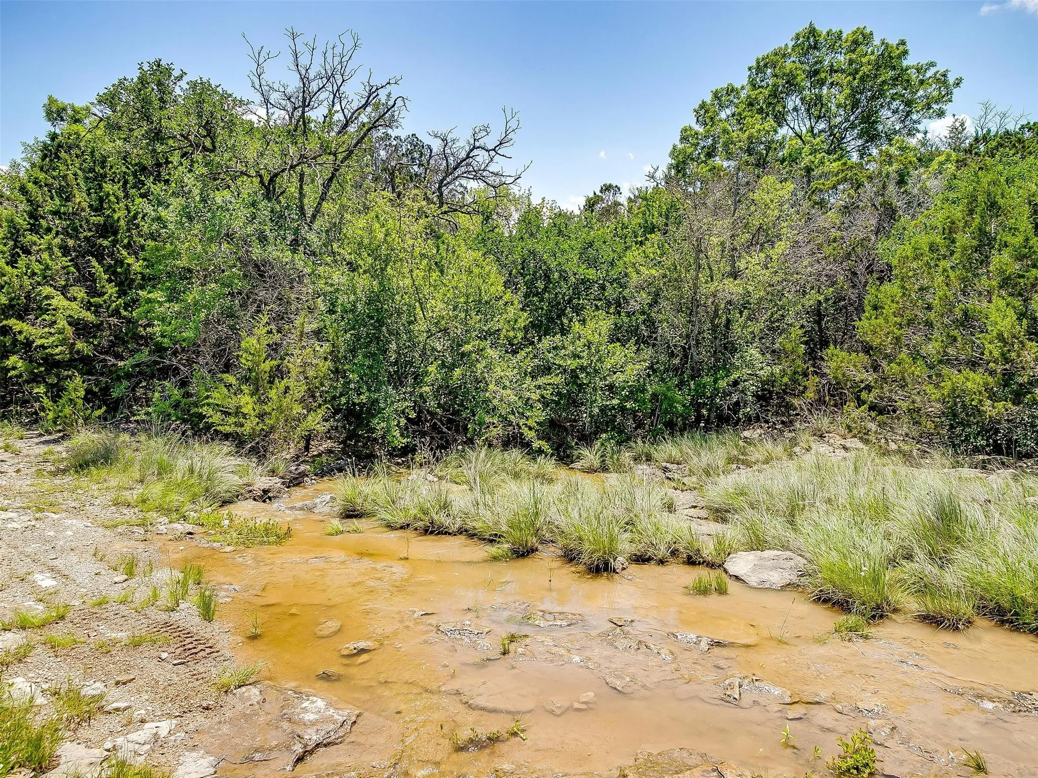 Ranch For Sale in Johnson County , 10849 County Road 1117, Cleburne, Texas 76033, 0, 0, Garage spaces, 0 Sqft, built in 0, mls#20719247, Real Estate Agent in Cleburne, Homes For Sale in Johnson county, Homes For Sale in Cleburne, Realtor in Cleburne Texas, Real Estate Brokerage Independent Realty Texas, Luminita Cordes Realtor