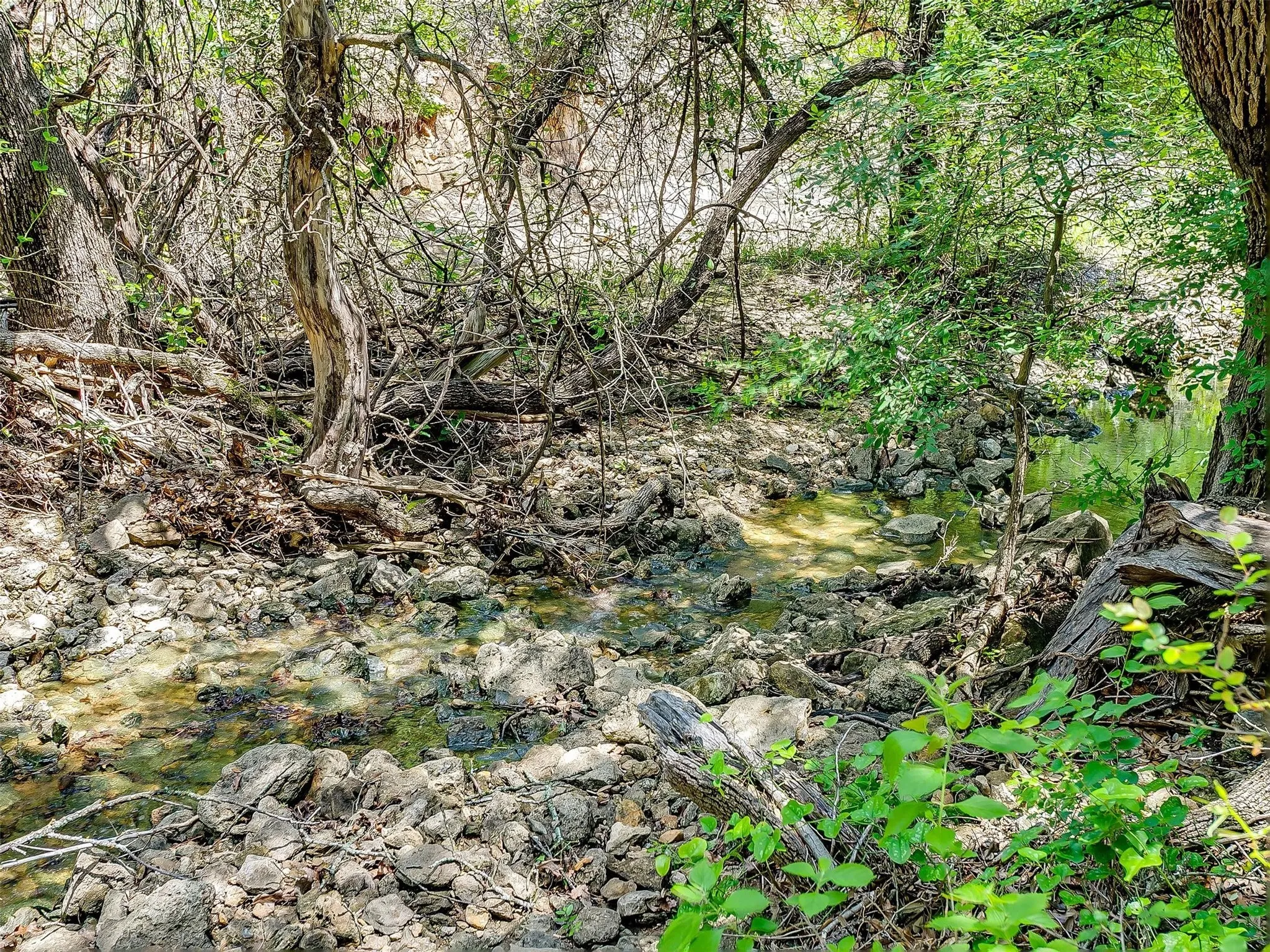 Ranch For Sale in Johnson County , 10849 County Road 1117, Cleburne, Texas 76033, 0, 0, Garage spaces, 0 Sqft, built in 0, mls#20719247, Real Estate Agent in Cleburne, Homes For Sale in Johnson county, Homes For Sale in Cleburne, Realtor in Cleburne Texas, Real Estate Brokerage Independent Realty Texas, Luminita Cordes Realtor