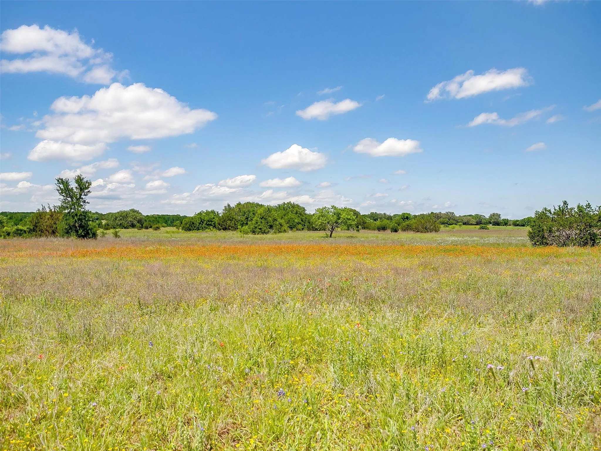 Ranch For Sale in Johnson County , 10849 County Road 1117, Cleburne, Texas 76033, 0, 0, Garage spaces, 0 Sqft, built in 0, mls#20719247, Real Estate Agent in Cleburne, Homes For Sale in Johnson county, Homes For Sale in Cleburne, Realtor in Cleburne Texas, Real Estate Brokerage Independent Realty Texas, Luminita Cordes Realtor