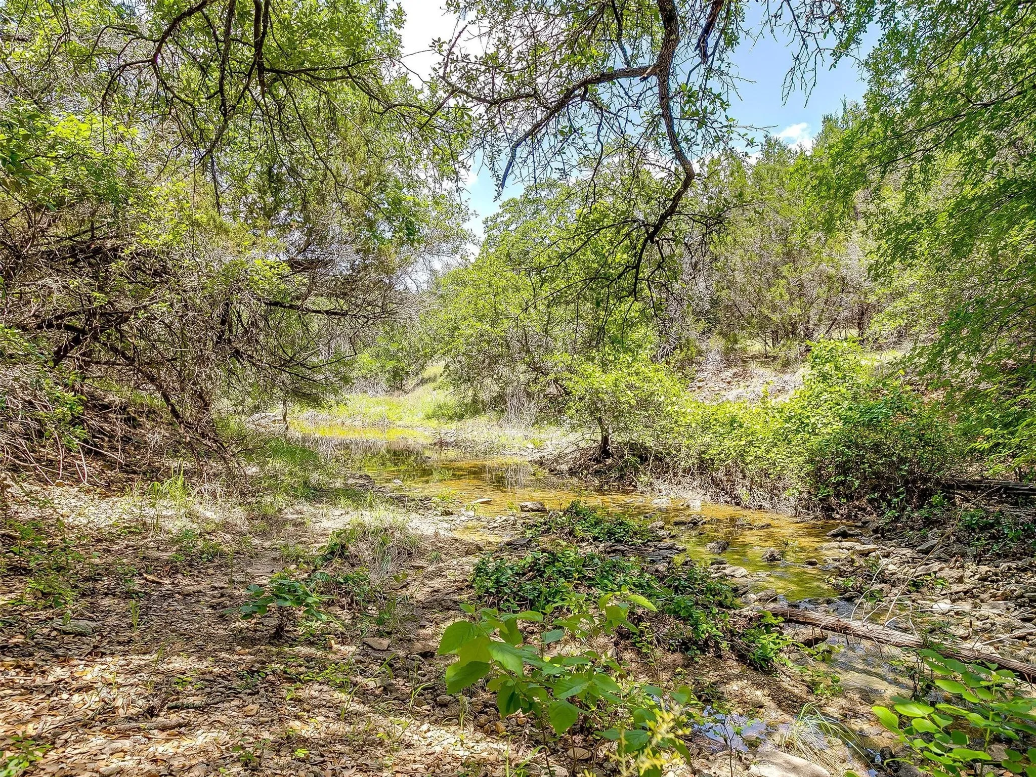 Ranch For Sale in Johnson County , 10849 County Road 1117, Cleburne, Texas 76033, 0, 0, Garage spaces, 0 Sqft, built in 0, mls#20719247, Real Estate Agent in Cleburne, Homes For Sale in Johnson county, Homes For Sale in Cleburne, Realtor in Cleburne Texas, Real Estate Brokerage Independent Realty Texas, Luminita Cordes Realtor