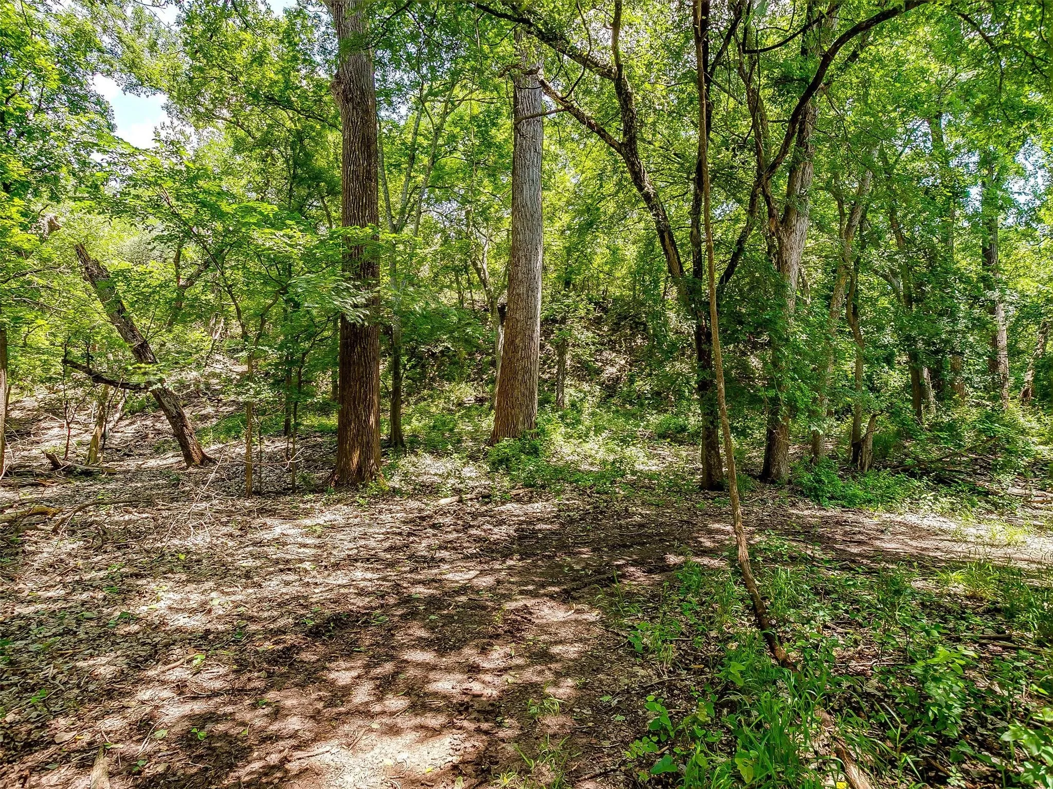 Ranch For Sale in Johnson County , 10849 County Road 1117, Cleburne, Texas 76033, 0, 0, Garage spaces, 0 Sqft, built in 0, mls#20719247, Real Estate Agent in Cleburne, Homes For Sale in Johnson county, Homes For Sale in Cleburne, Realtor in Cleburne Texas, Real Estate Brokerage Independent Realty Texas, Luminita Cordes Realtor