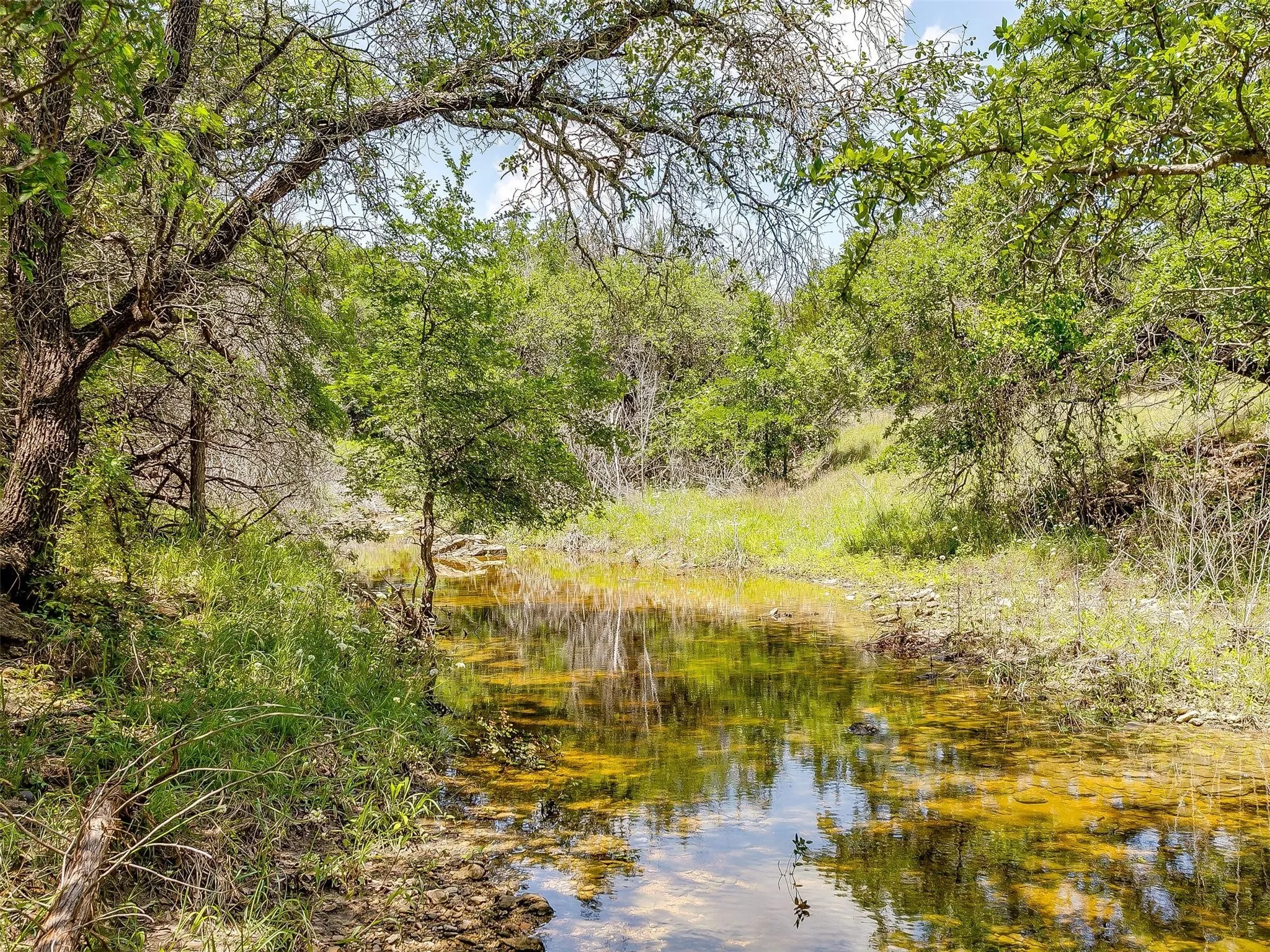 Ranch For Sale in Johnson County , 10849 County Road 1117, Cleburne, Texas 76033, 0, 0, Garage spaces, 0 Sqft, built in 0, mls#20719247, Real Estate Agent in Cleburne, Homes For Sale in Johnson county, Homes For Sale in Cleburne, Realtor in Cleburne Texas, Real Estate Brokerage Independent Realty Texas, Luminita Cordes Realtor
