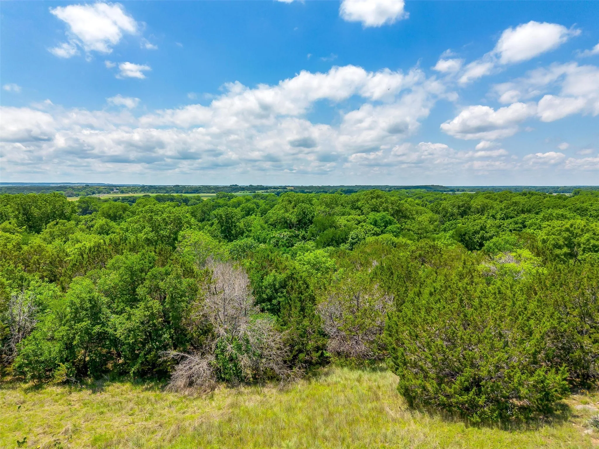 Ranch For Sale in Johnson County , 10849 County Road 1117, Cleburne, Texas 76033, 0, 0, Garage spaces, 0 Sqft, built in 0, mls#20719247, Real Estate Agent in Cleburne, Homes For Sale in Johnson county, Homes For Sale in Cleburne, Realtor in Cleburne Texas, Real Estate Brokerage Independent Realty Texas, Luminita Cordes Realtor