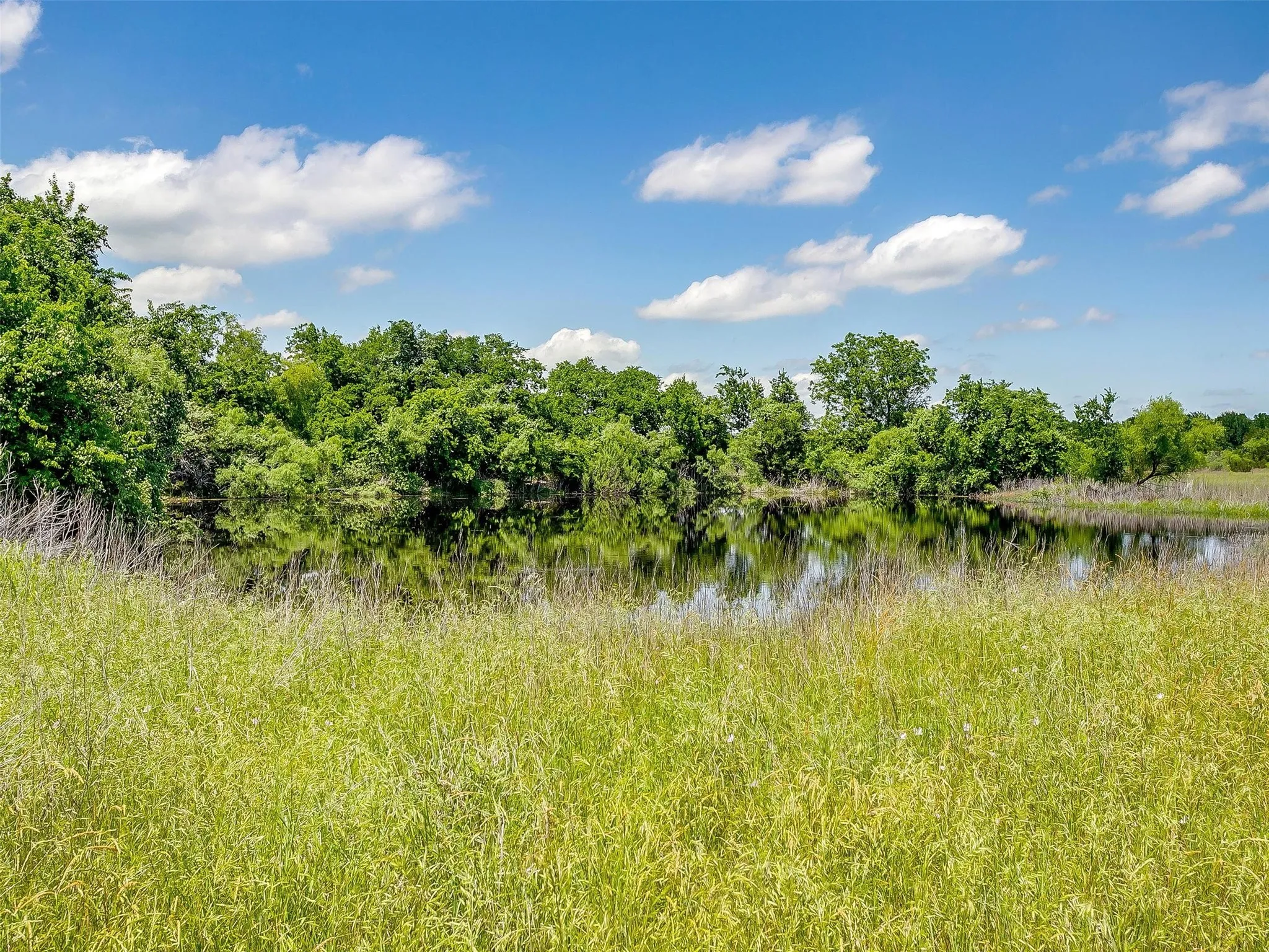 Ranch For Sale in Johnson County , 10849 County Road 1117, Cleburne, Texas 76033, 0, 0, Garage spaces, 0 Sqft, built in 0, mls#20719247, Real Estate Agent in Cleburne, Homes For Sale in Johnson county, Homes For Sale in Cleburne, Realtor in Cleburne Texas, Real Estate Brokerage Independent Realty Texas, Luminita Cordes Realtor