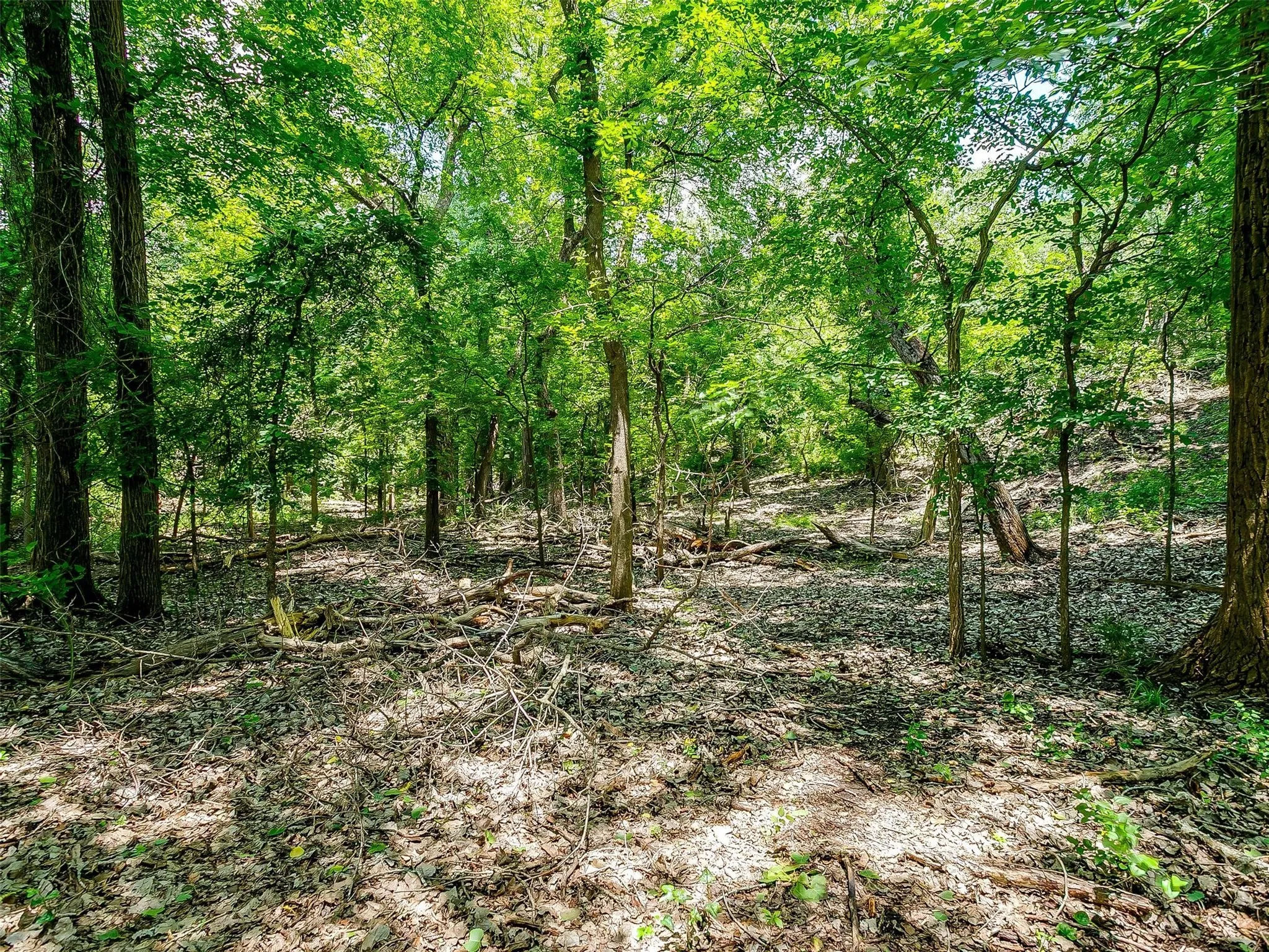 Ranch For Sale in Johnson County , 10849 County Road 1117, Cleburne, Texas 76033, 0, 0, Garage spaces, 0 Sqft, built in 0, mls#20719247, Real Estate Agent in Cleburne, Homes For Sale in Johnson county, Homes For Sale in Cleburne, Realtor in Cleburne Texas, Real Estate Brokerage Independent Realty Texas, Luminita Cordes Realtor