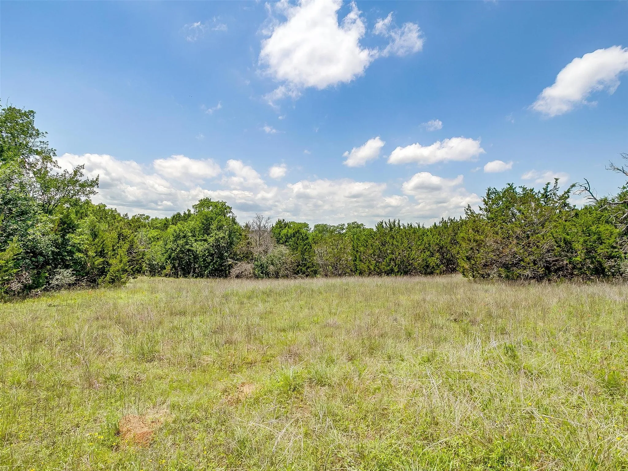 Ranch For Sale in Johnson County , 10849 County Road 1117, Cleburne, Texas 76033, 0, 0, Garage spaces, 0 Sqft, built in 0, mls#20719247, Real Estate Agent in Cleburne, Homes For Sale in Johnson county, Homes For Sale in Cleburne, Realtor in Cleburne Texas, Real Estate Brokerage Independent Realty Texas, Luminita Cordes Realtor