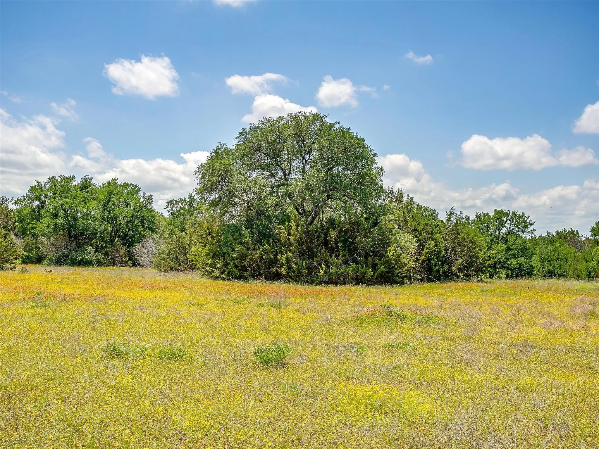 Ranch For Sale in Johnson County , 10849 County Road 1117, Cleburne, Texas 76033, 0, 0, Garage spaces, 0 Sqft, built in 0, mls#20719247, Real Estate Agent in Cleburne, Homes For Sale in Johnson county, Homes For Sale in Cleburne, Realtor in Cleburne Texas, Real Estate Brokerage Independent Realty Texas, Luminita Cordes Realtor
