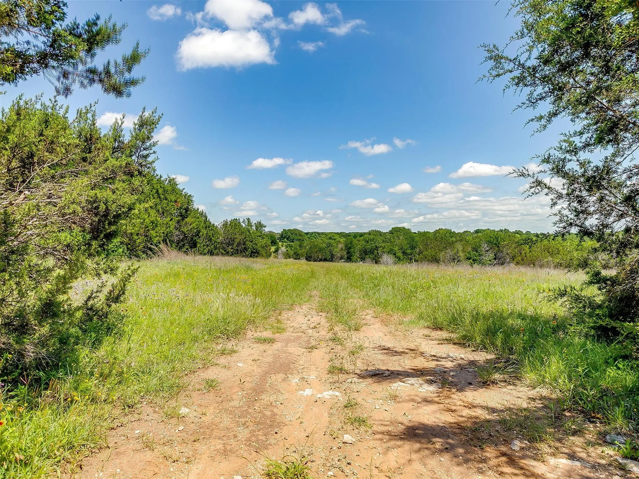 Ranch For Sale in Johnson County , 10849 County Road 1117, Cleburne, Texas 76033, 0, 0, Garage spaces, 0 Sqft, built in 0, mls#20719247, Real Estate Agent in Cleburne, Homes For Sale in Johnson county, Homes For Sale in Cleburne, Realtor in Cleburne Texas, Real Estate Brokerage Independent Realty Texas, Luminita Cordes Realtor