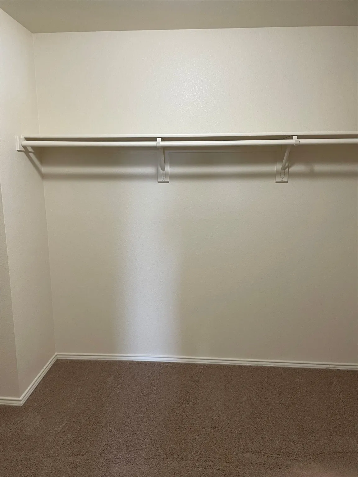 Walk in closet featuring carpet