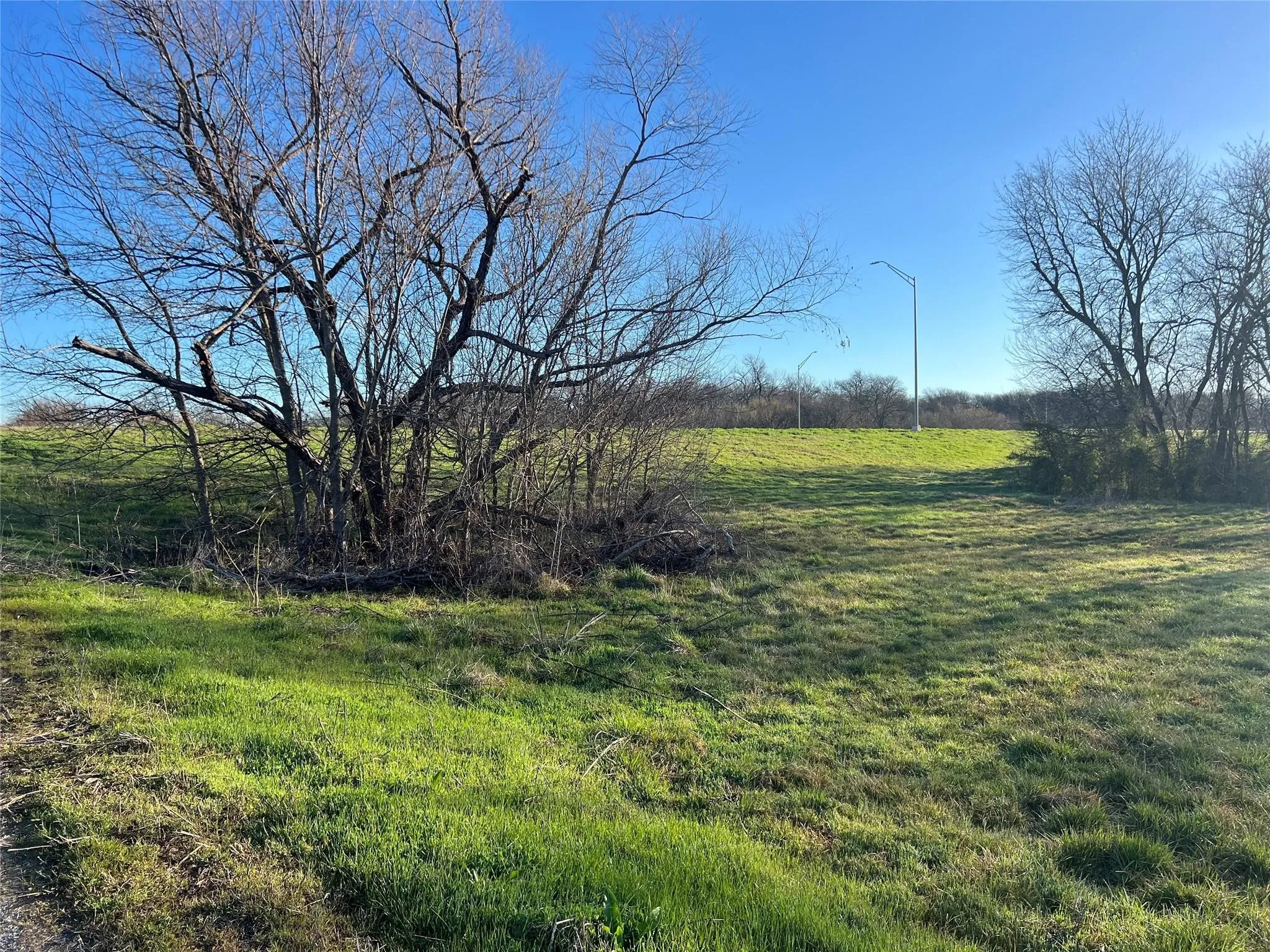 View of yard with a rural view