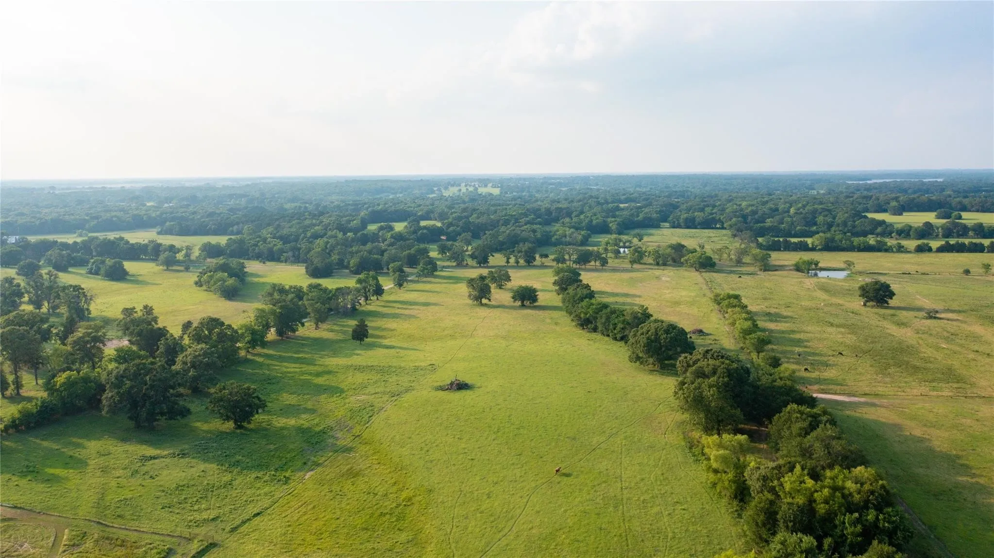 Ranch For Sale in Henderson County , TBD Fm 316 N, Eustace, Texas 75124, 0, 0, Garage spaces, 0 Sqft, built in 1985, mls#20724036, Real Estate Agent in Eustace, Homes For Sale in Henderson county, Homes For Sale in Eustace, Realtor in Eustace Texas, Real Estate Brokerage Independent Realty Texas, Luminita Cordes Realtor