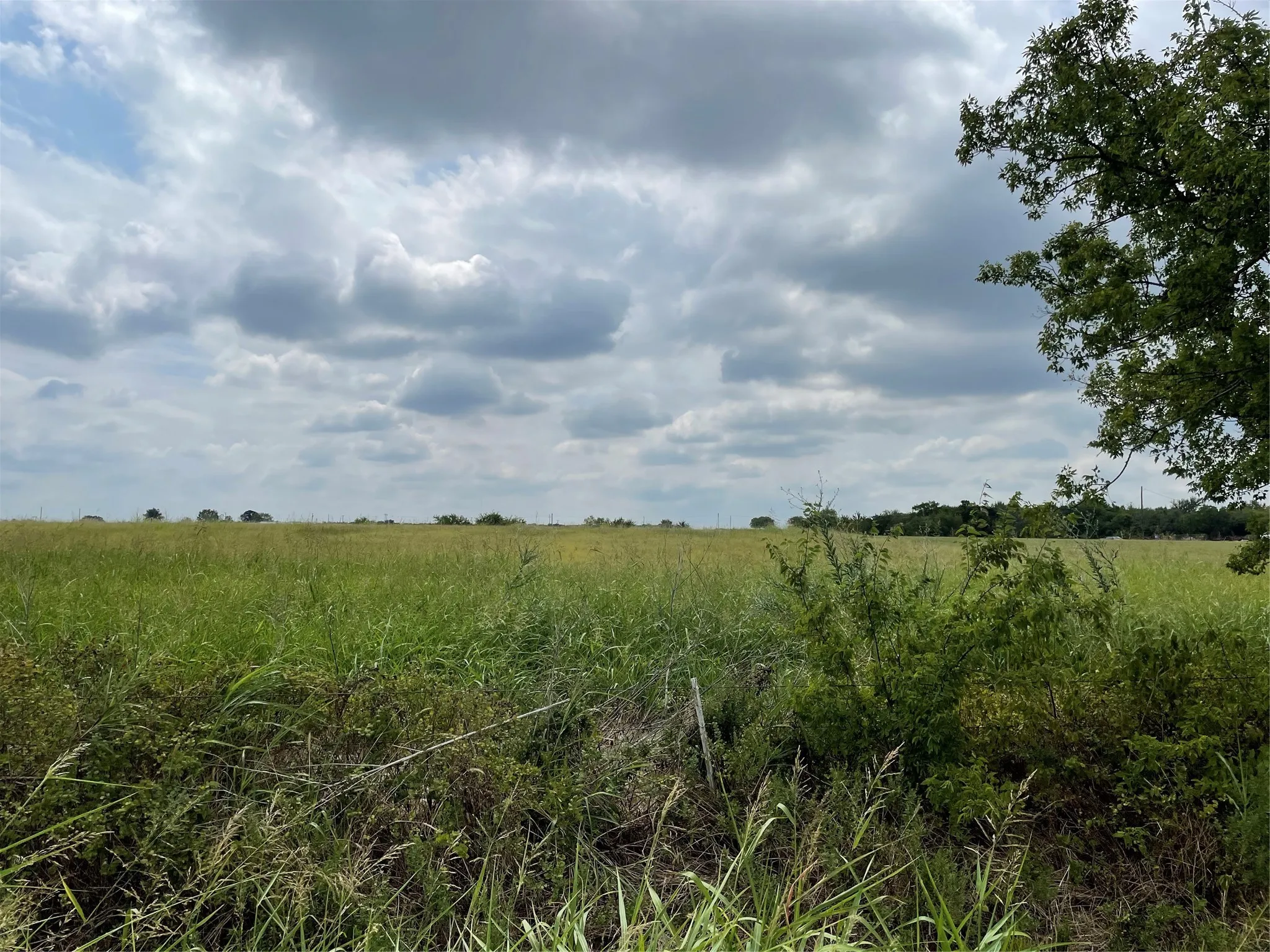 Unimproved Land For Sale in Grayson County , TBD Old Sherman Road Road, Whitesboro, Texas 76273, 0, 0, Garage spaces, 0 Sqft, built in 0, mls#20727999, Real Estate Agent in Whitesboro, Homes For Sale in Grayson county, Homes For Sale in Whitesboro, Realtor in Whitesboro Texas, Real Estate Brokerage Independent Realty Texas, Luminita Cordes Realtor