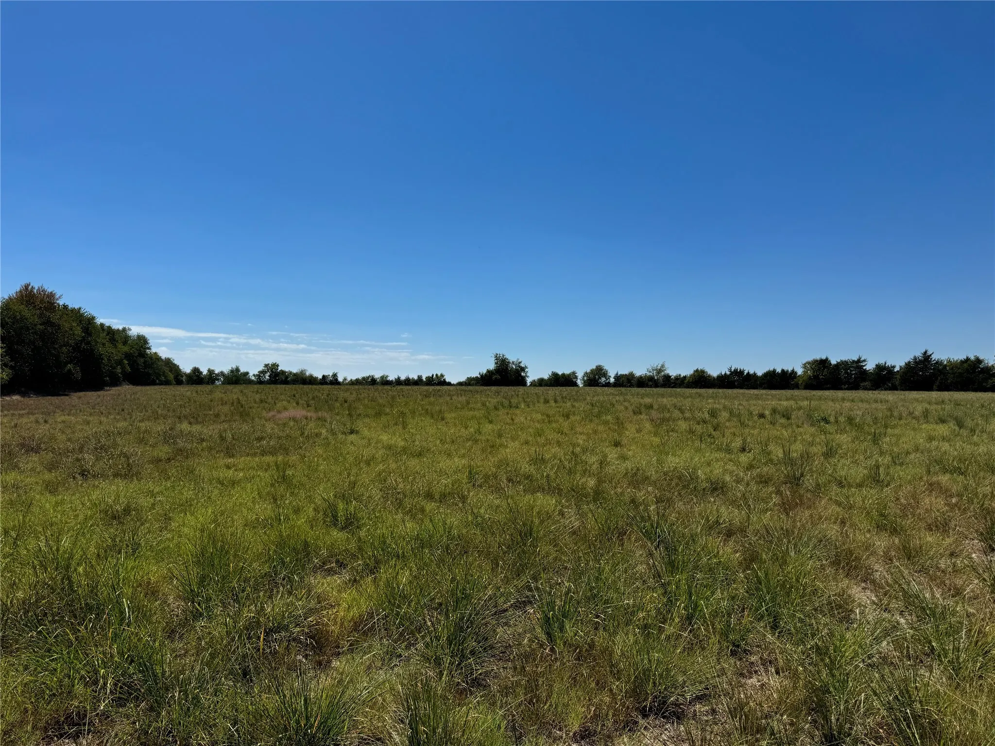 Unimproved Land For Sale in Lamar County , TBD OLD BONHAM ROAD, Paris, Texas 75460, 0, 0, Garage spaces, 0 Sqft, built in 0, Price $216,240, mls#20727311, Real Estate Agent in Paris, Homes For Sale in Lamar county, Homes For Sale in Paris, Realtor in Paris Texas, Real Estate Brokerage Independent Realty Texas, Luminita Cordes Realtor