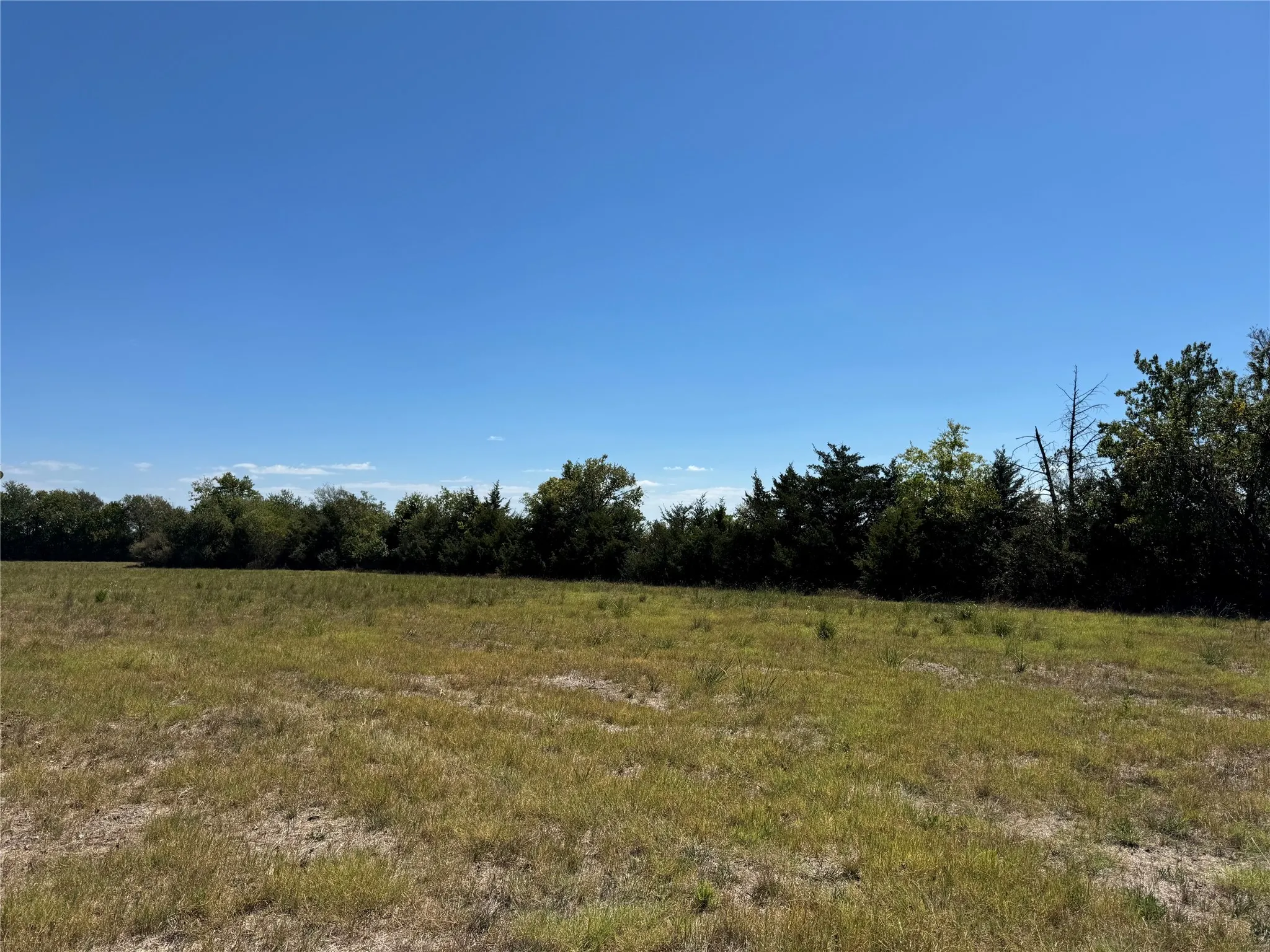 View of local wilderness featuring a rural view