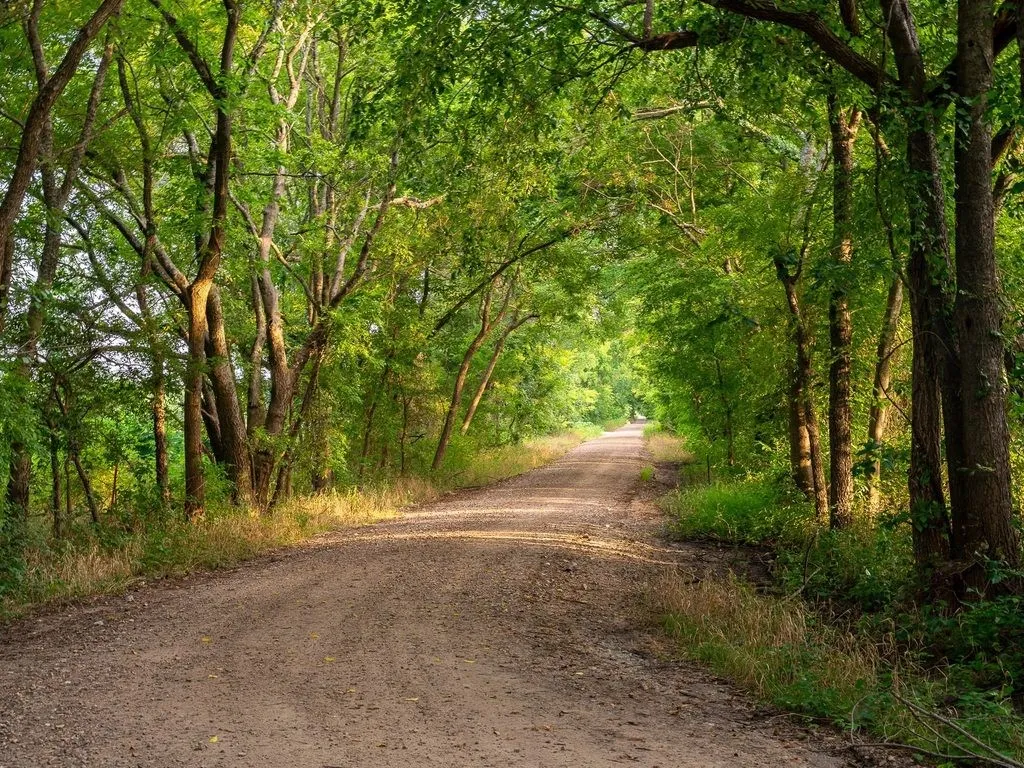 Improved Land For Sale in Fannin County , TBD county road 3660 COUNTY ROAD 3660, Ladonia, Texas 75449, 0, 0, Garage spaces, 0 Sqft, built in 0, Price $436,000, mls#20730513, Real Estate Agent in Ladonia, Homes For Sale in Fannin county, Homes For Sale in Ladonia, Realtor in Ladonia Texas, Real Estate Brokerage Independent Realty Texas, Luminita Cordes Realtor
