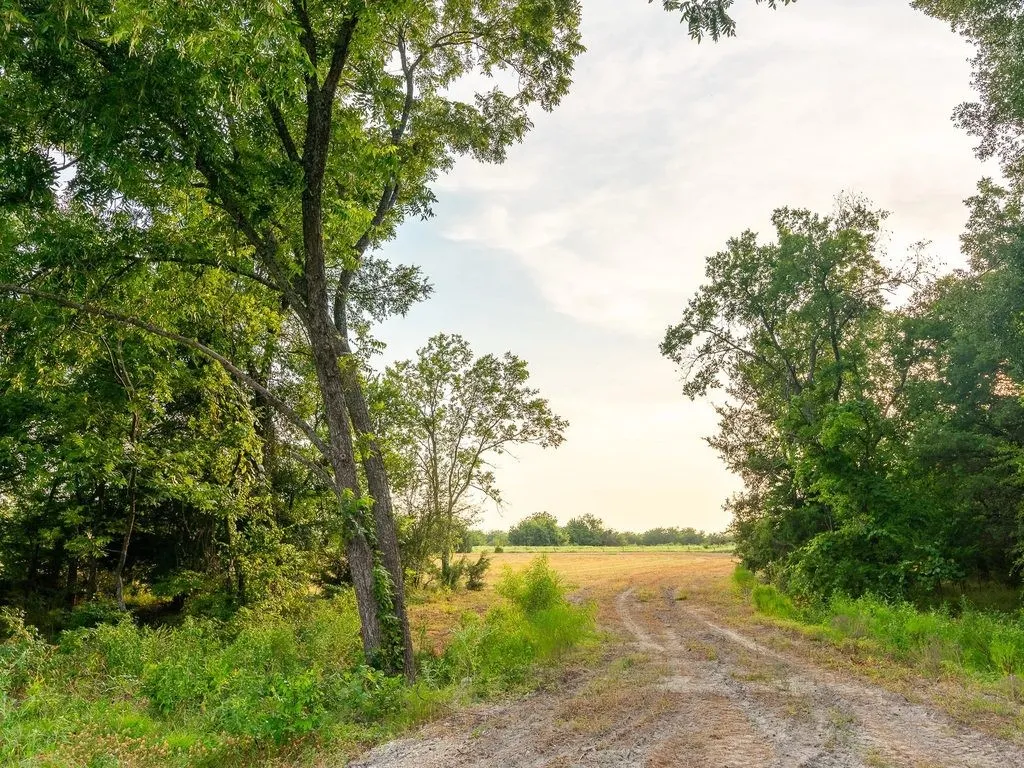 Improved Land For Sale in Fannin County , TBD county road 3660 COUNTY ROAD 3660, Ladonia, Texas 75449, 0, 0, Garage spaces, 0 Sqft, built in 0, Price $436,000, mls#20730513, Real Estate Agent in Ladonia, Homes For Sale in Fannin county, Homes For Sale in Ladonia, Realtor in Ladonia Texas, Real Estate Brokerage Independent Realty Texas, Luminita Cordes Realtor